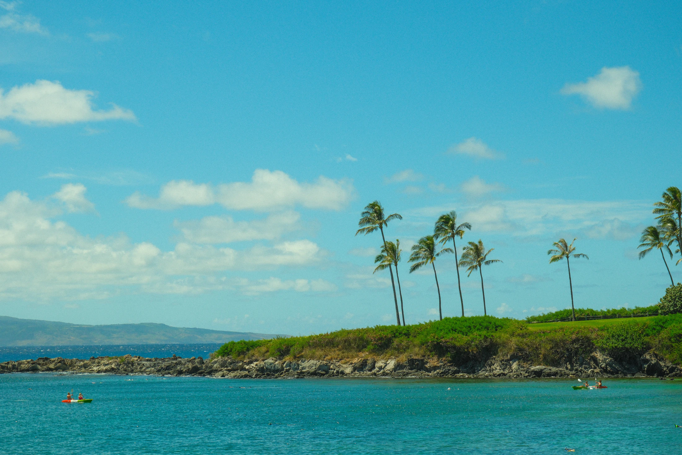 Kapalua Bay Beach in West Maui with palm trees and blue ocean