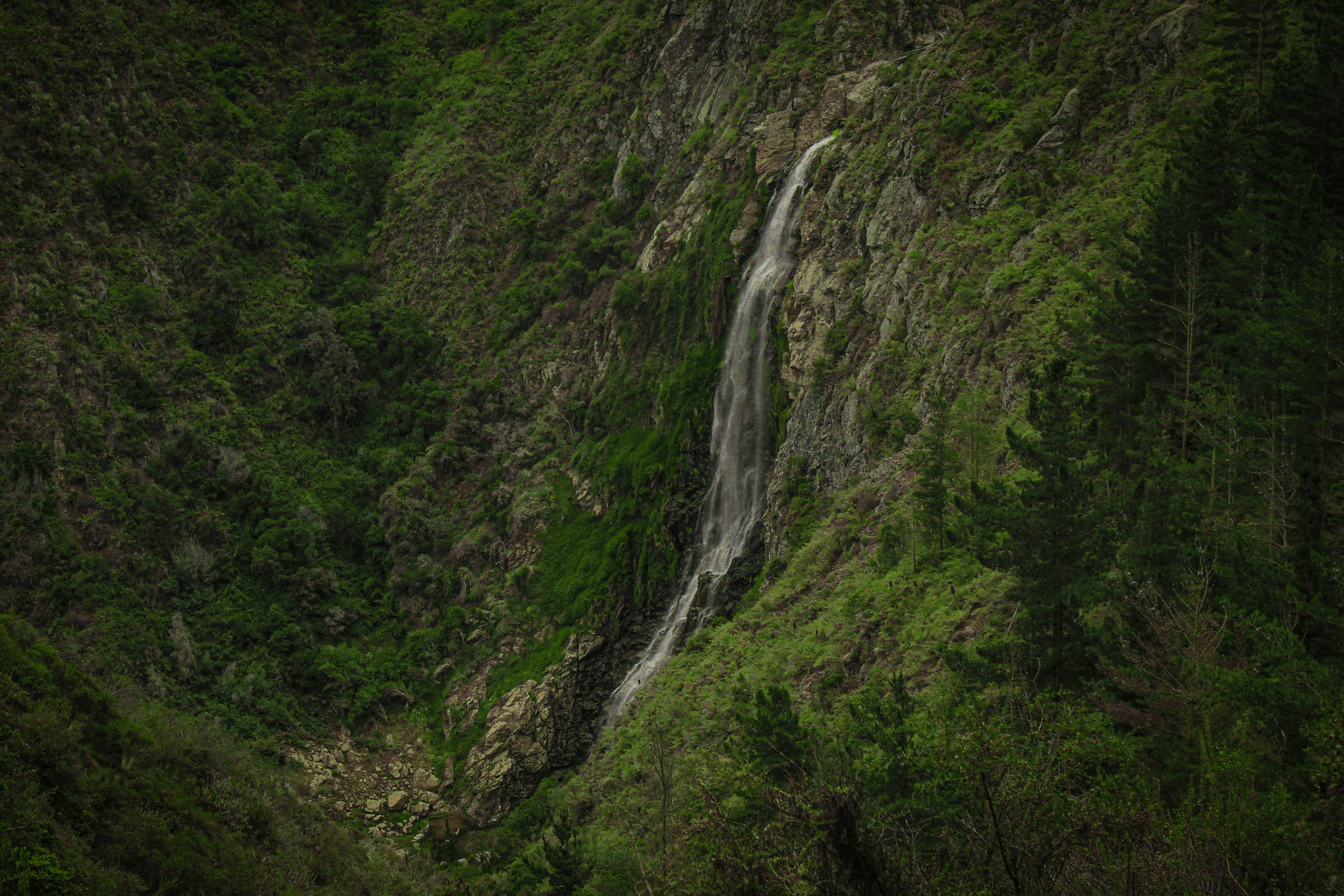 Photo by eluronmaton