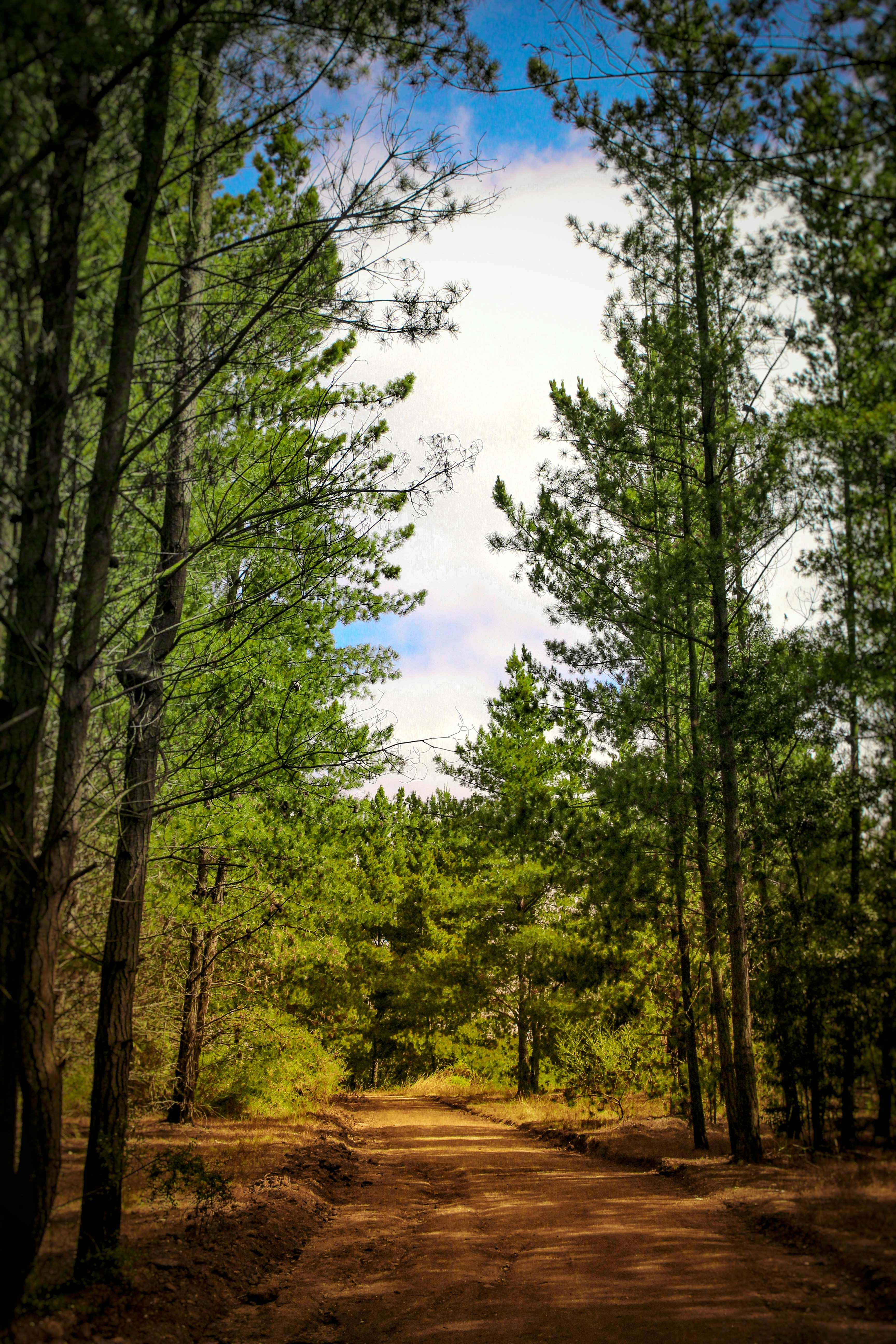 Photo by eluronmaton