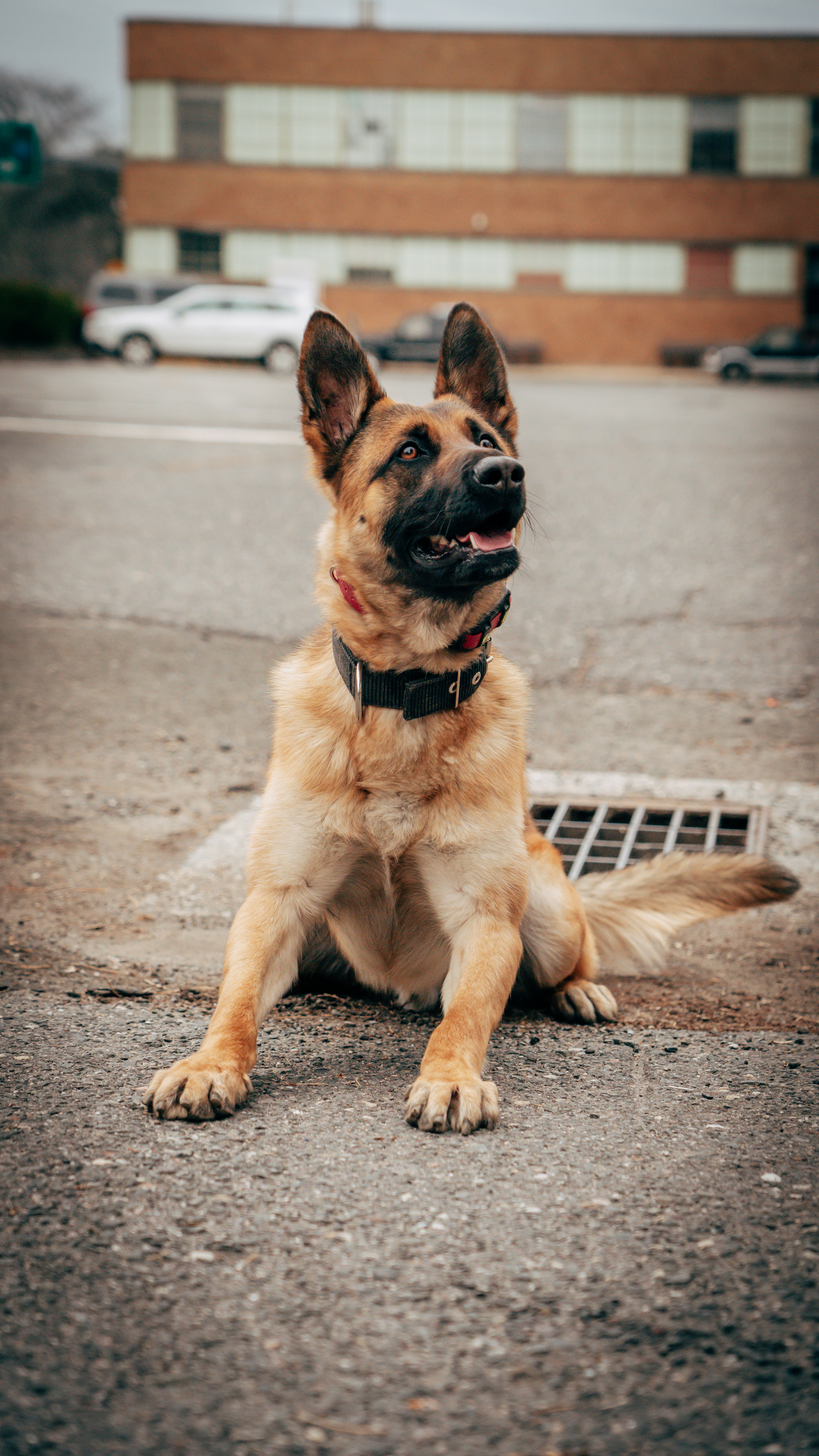 Photo by oculareuphoria