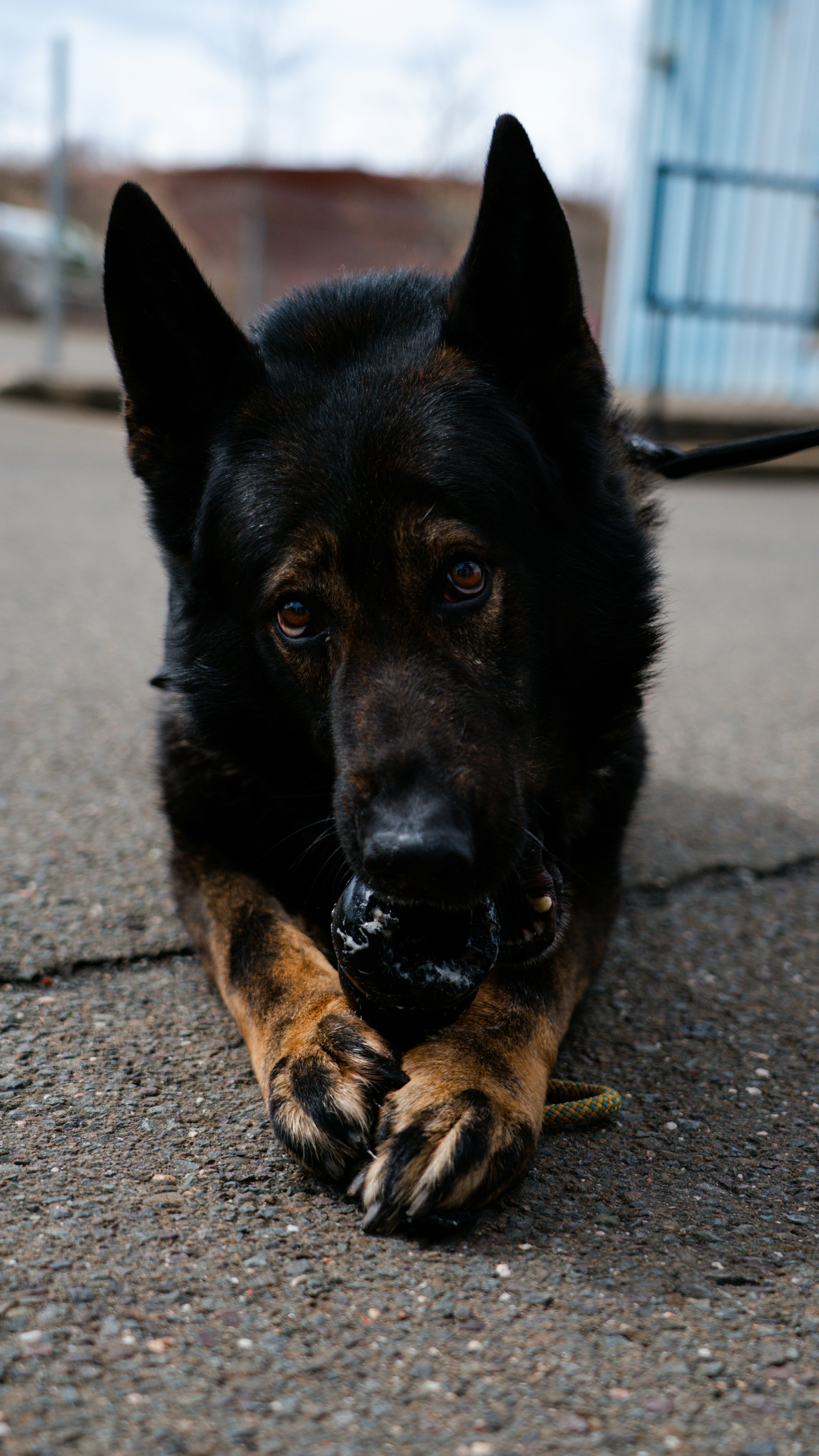 Photo by oculareuphoria