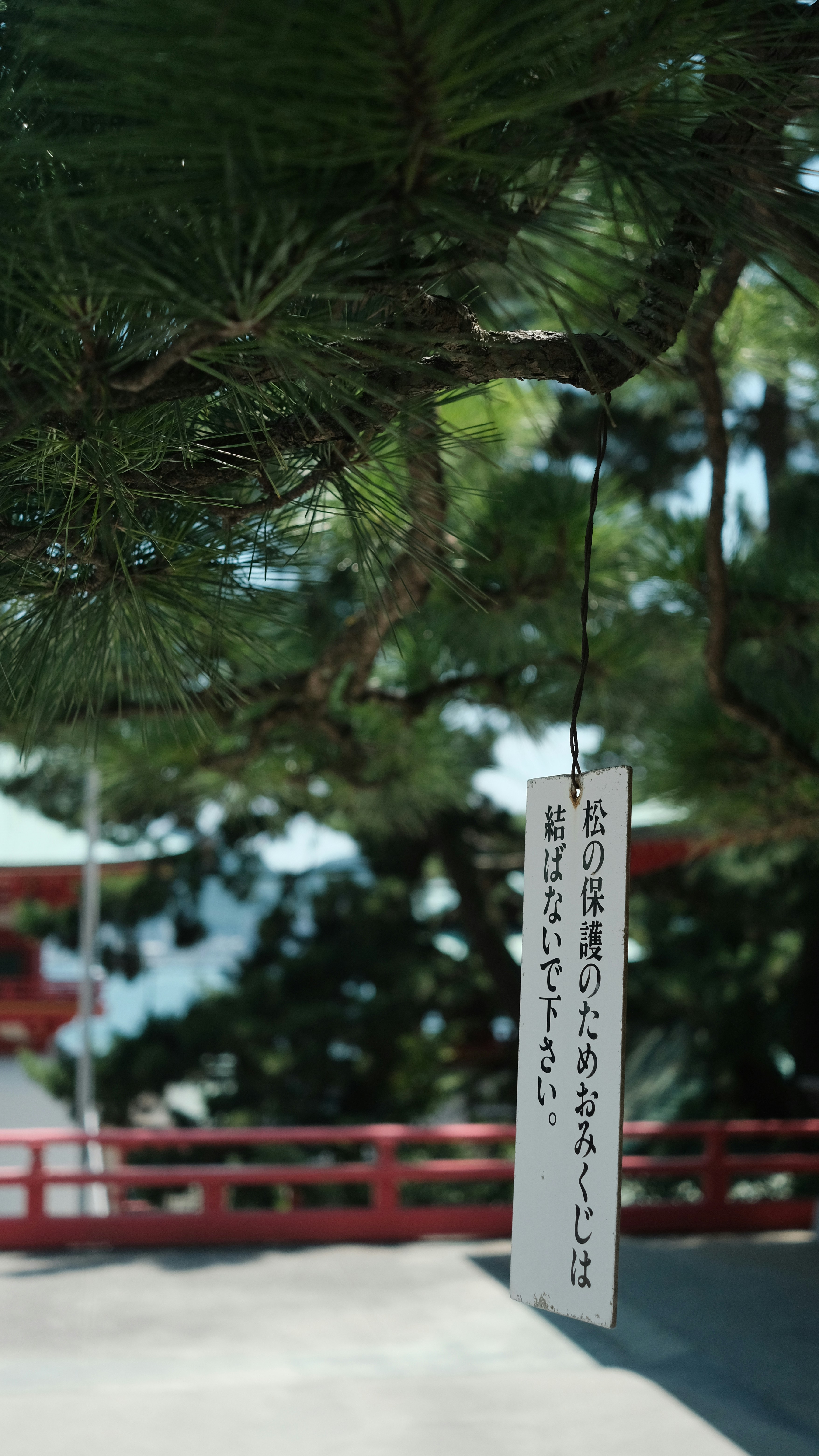 Nagasaki: Atomic History and Champon Noodles by the Bay