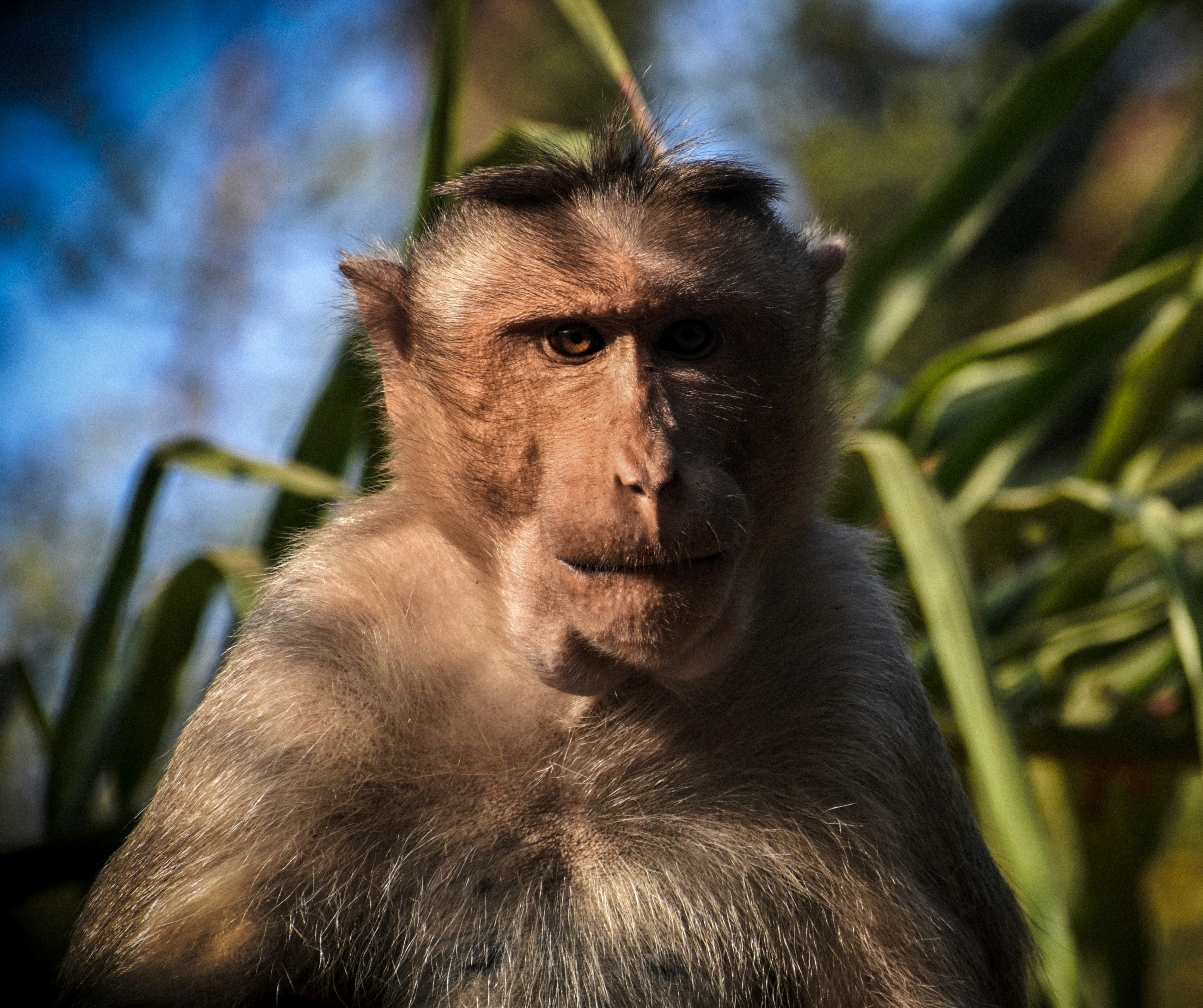 Photo by rishu_bhosale