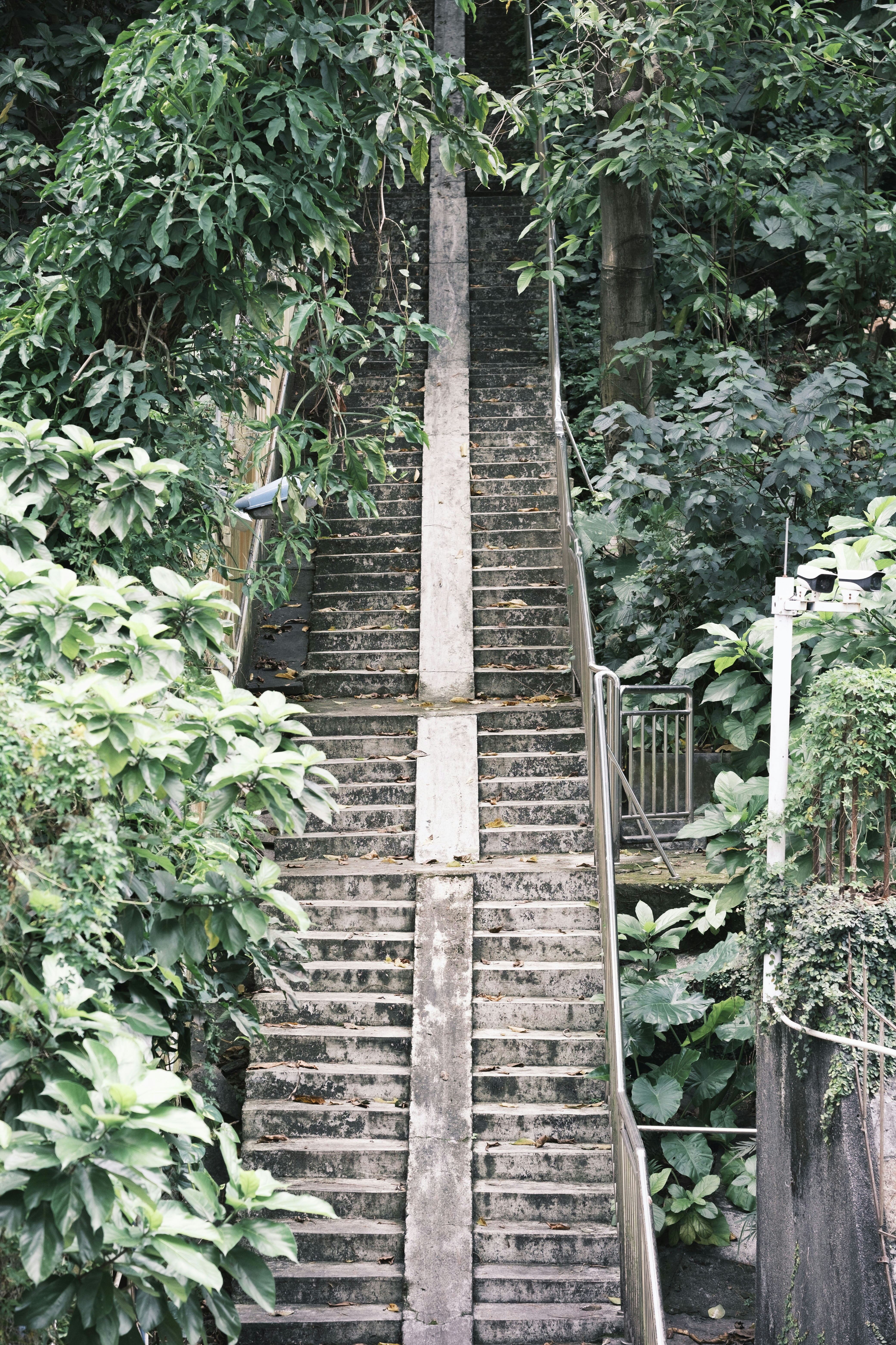 A set of stairs leading up to the top of a hill