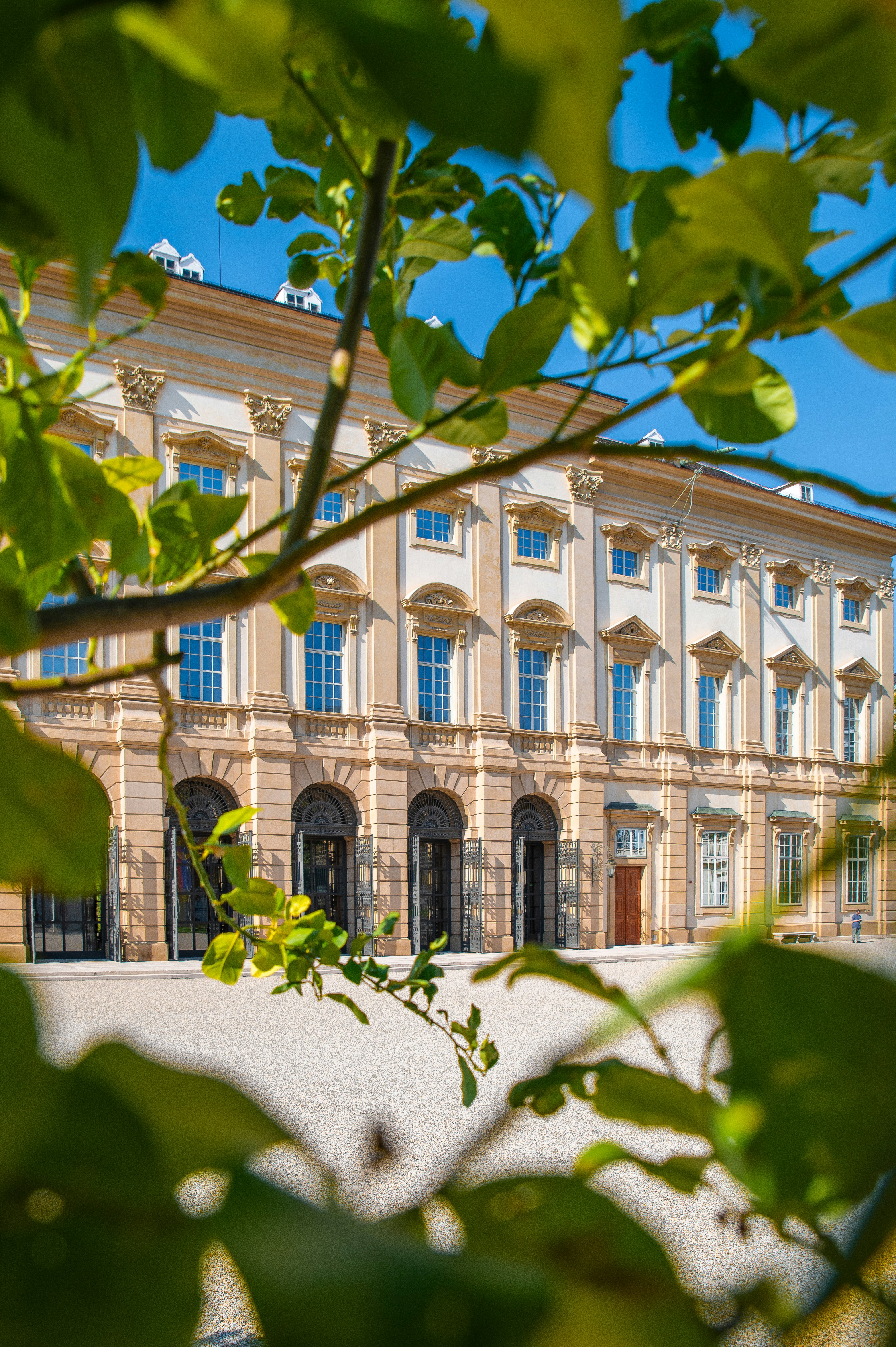 Photo by christina_kozak