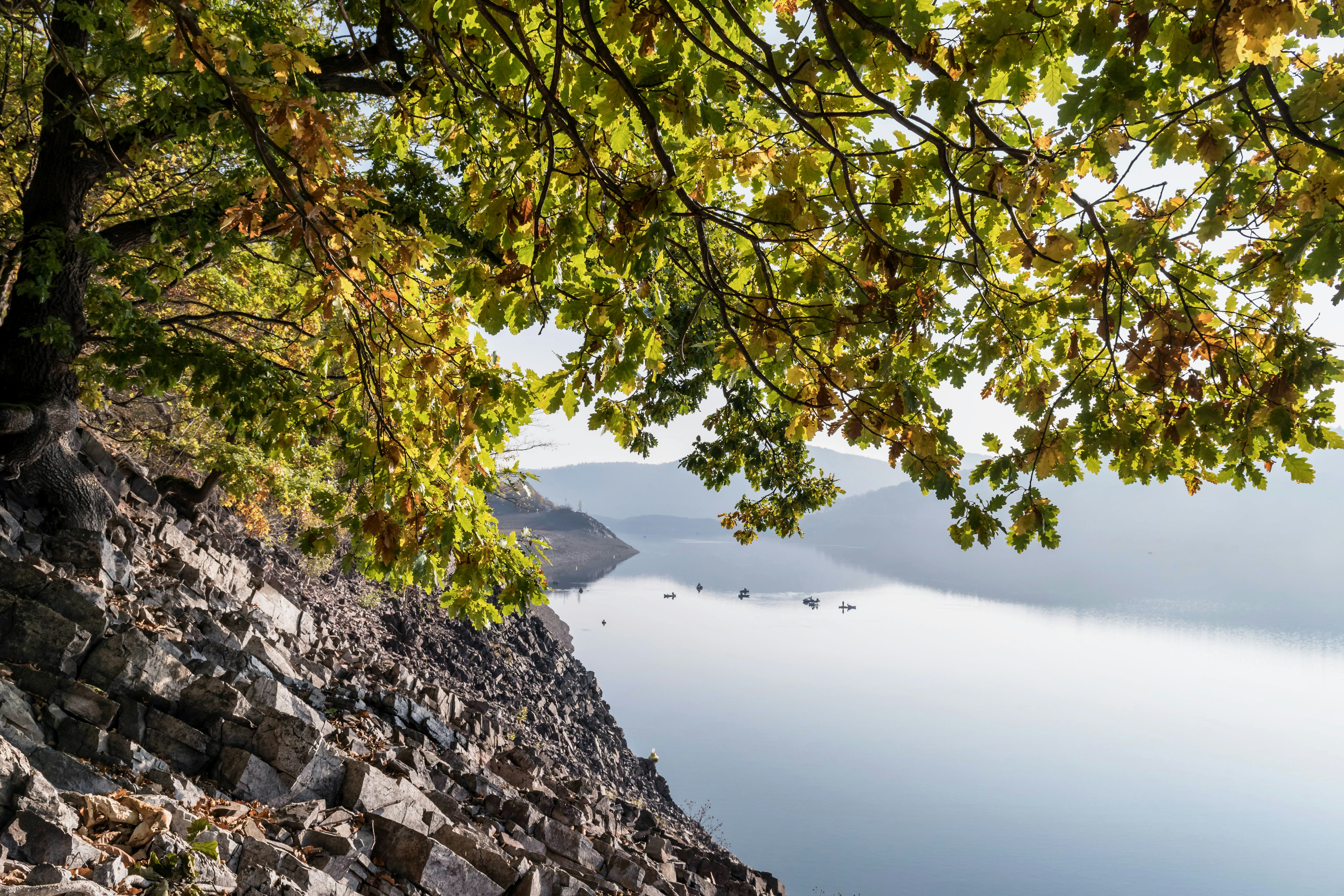 Photo by hamburgmeinefreundin