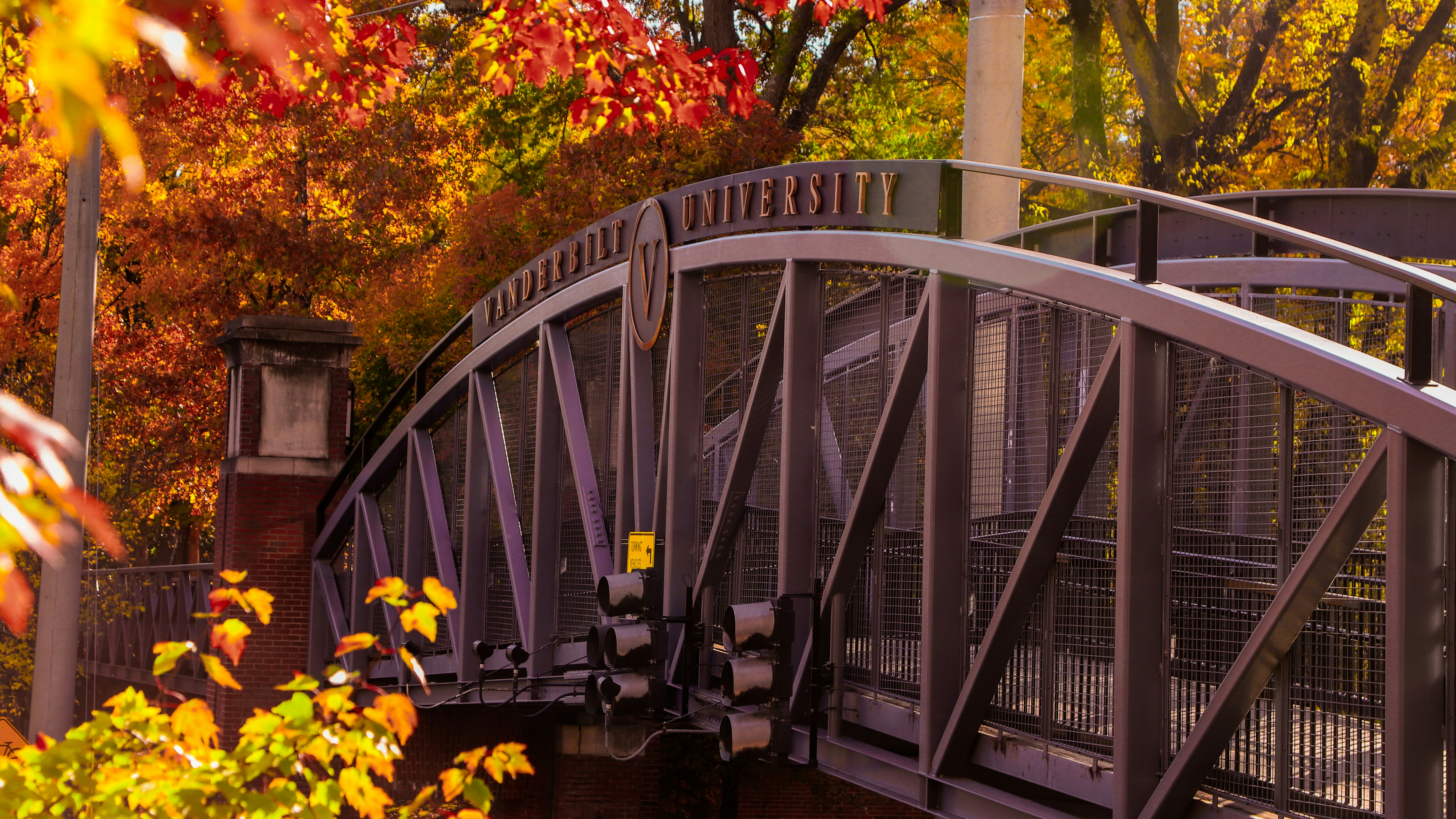 Photo by jaylithephotographer