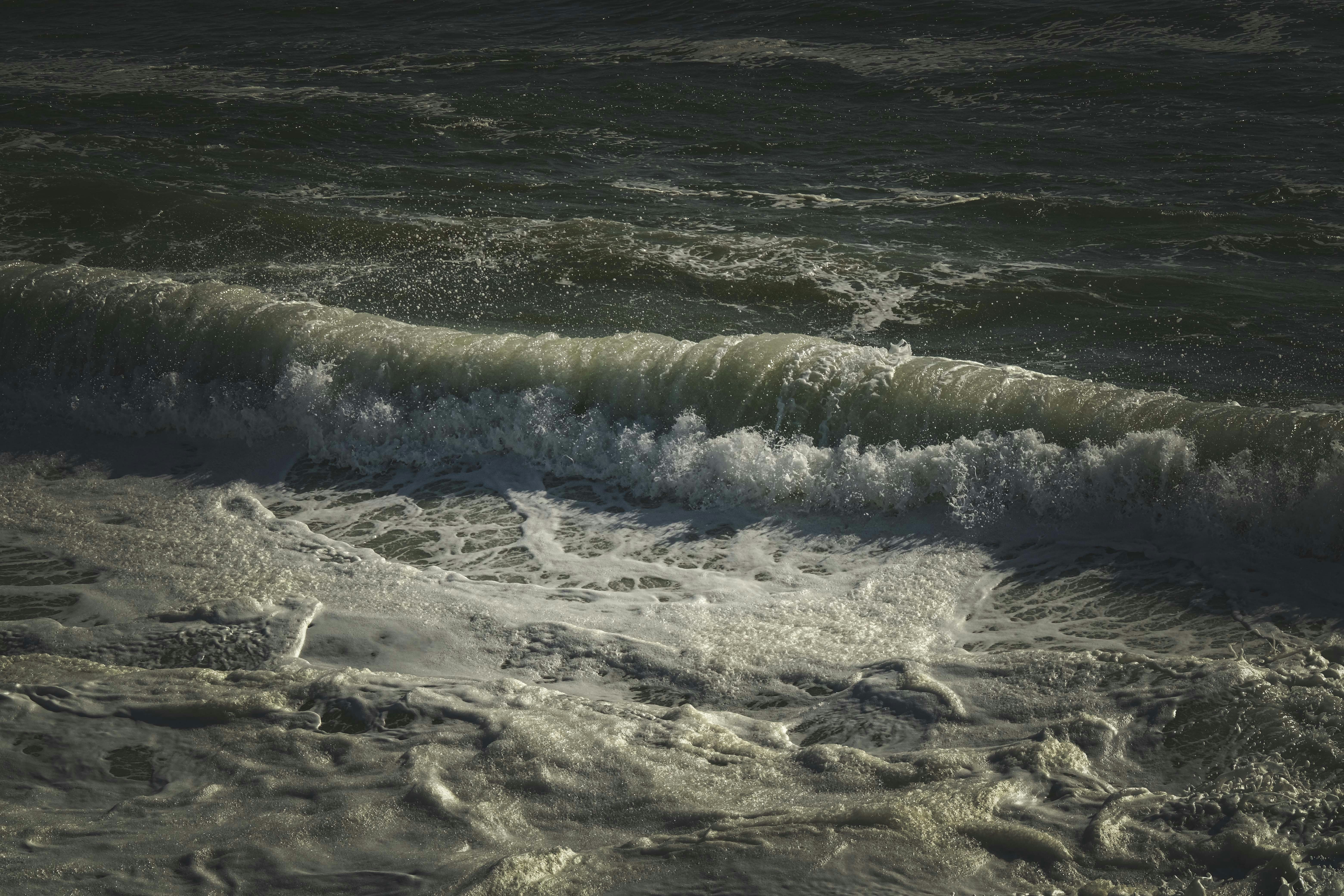 Photo by francesco_ungaro