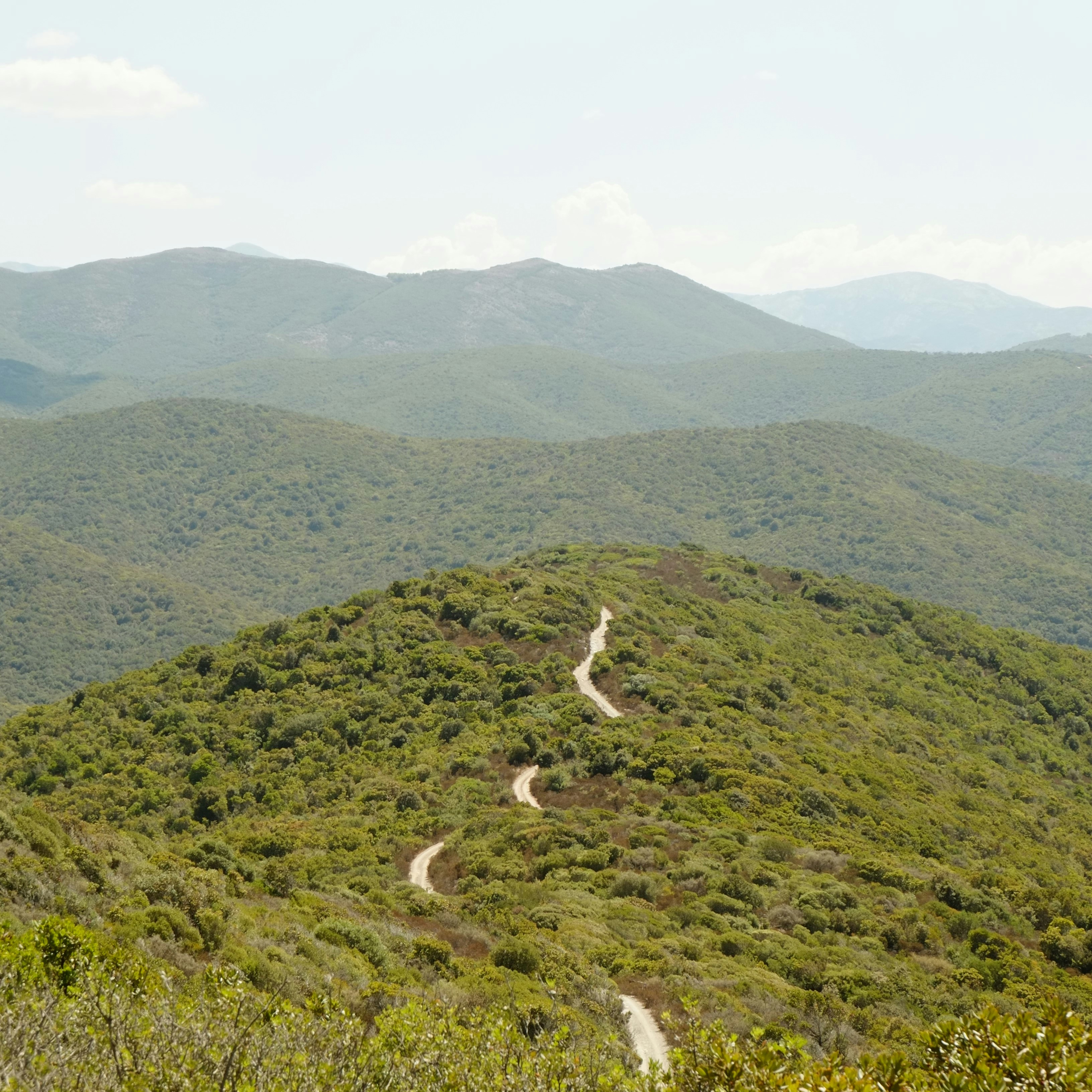 A view of a road going up a hill