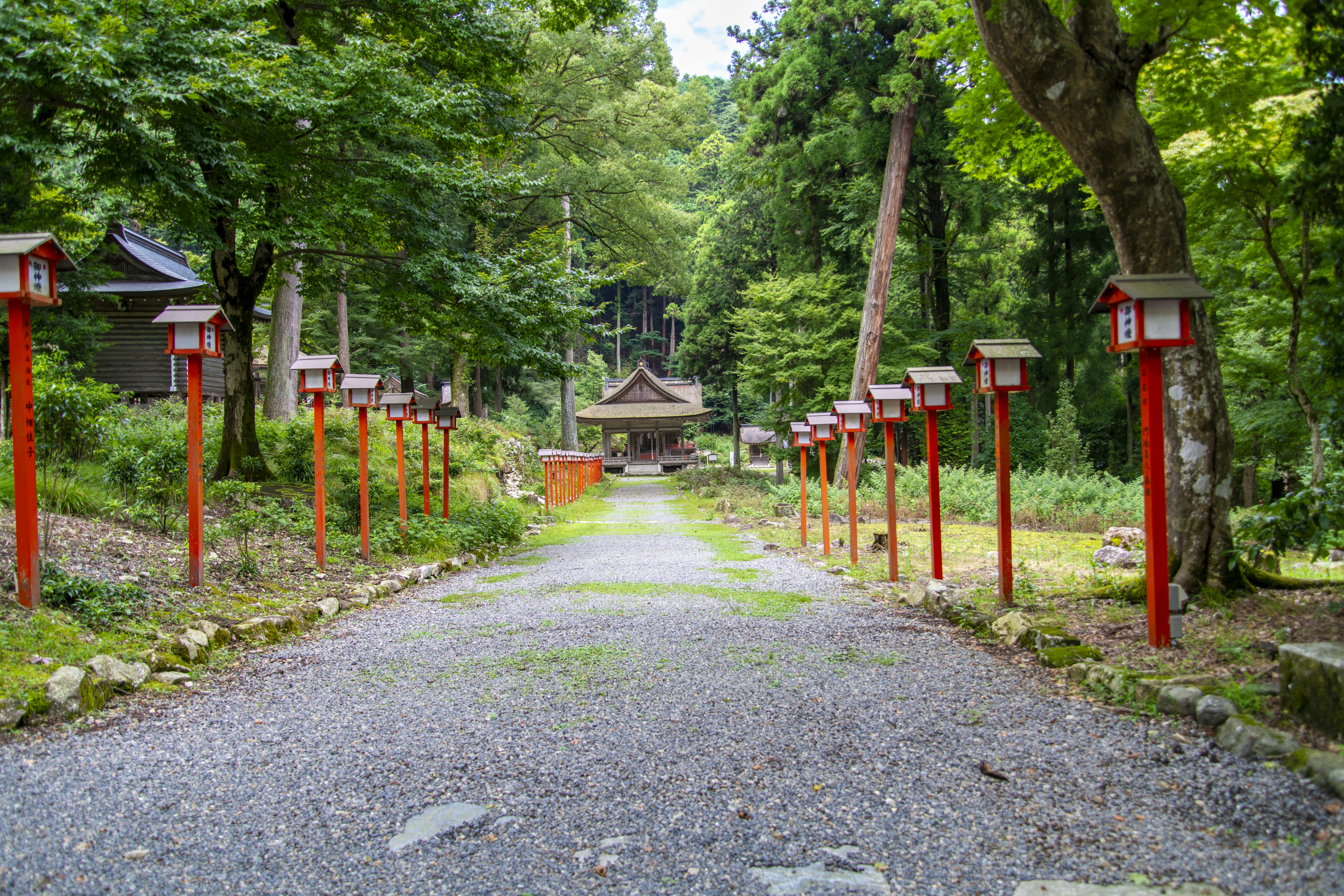 glamping campsite in Japan nature