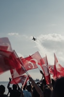 A group of people waving flags and a plane in the sky