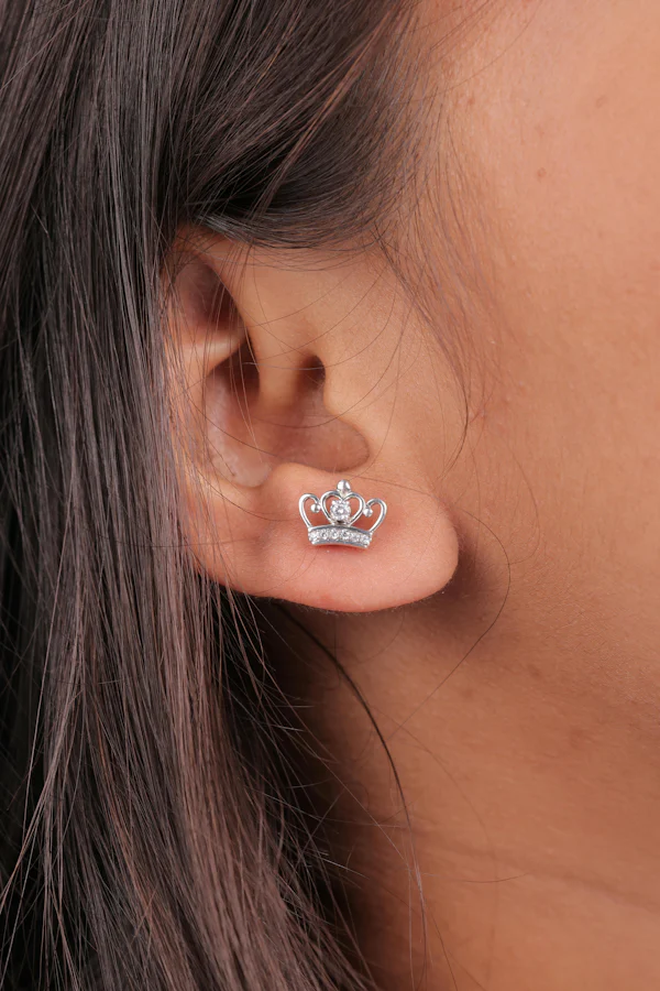 Elegant Silver Earrings