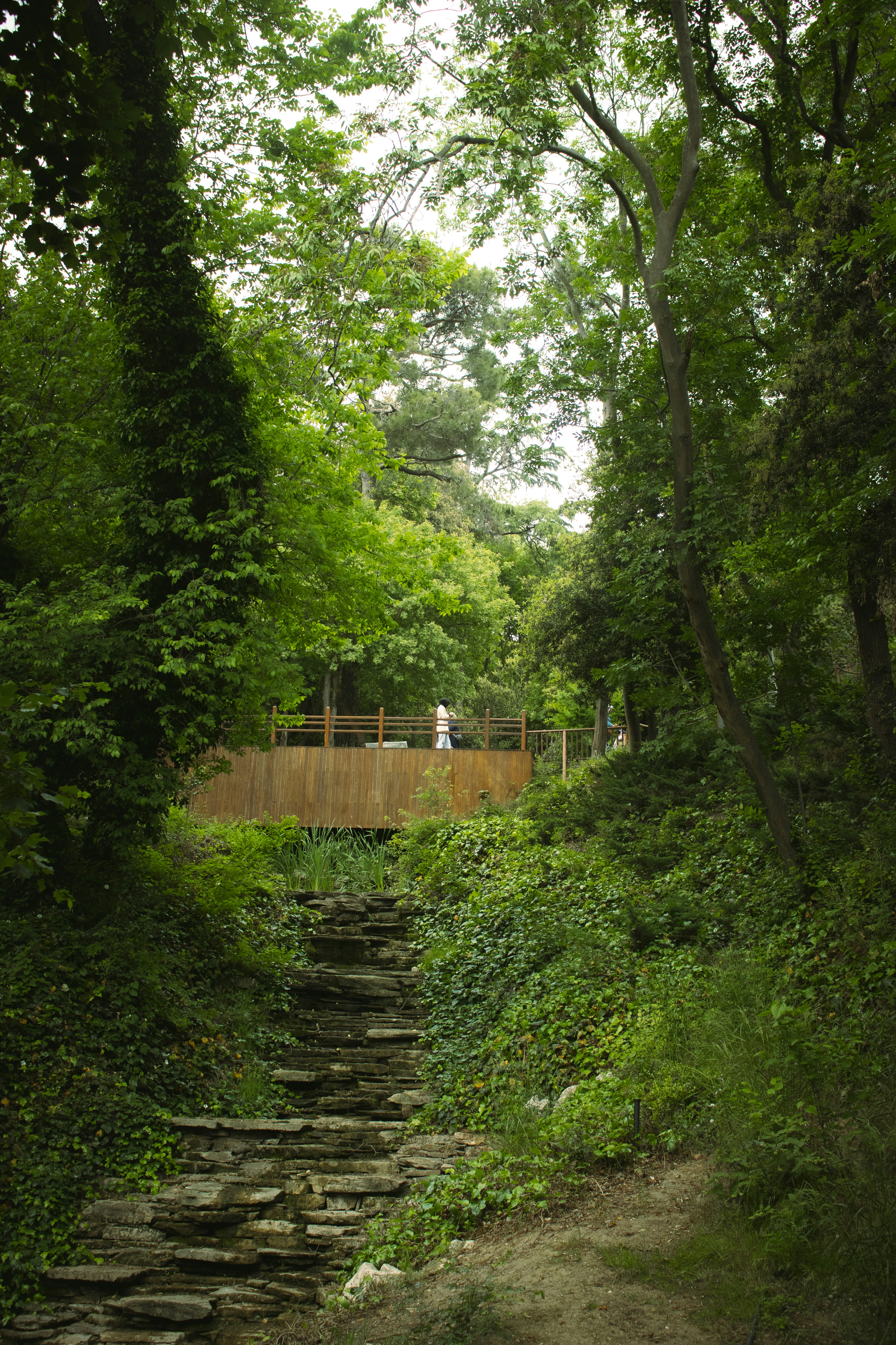 Photo by noorullahhhhhh