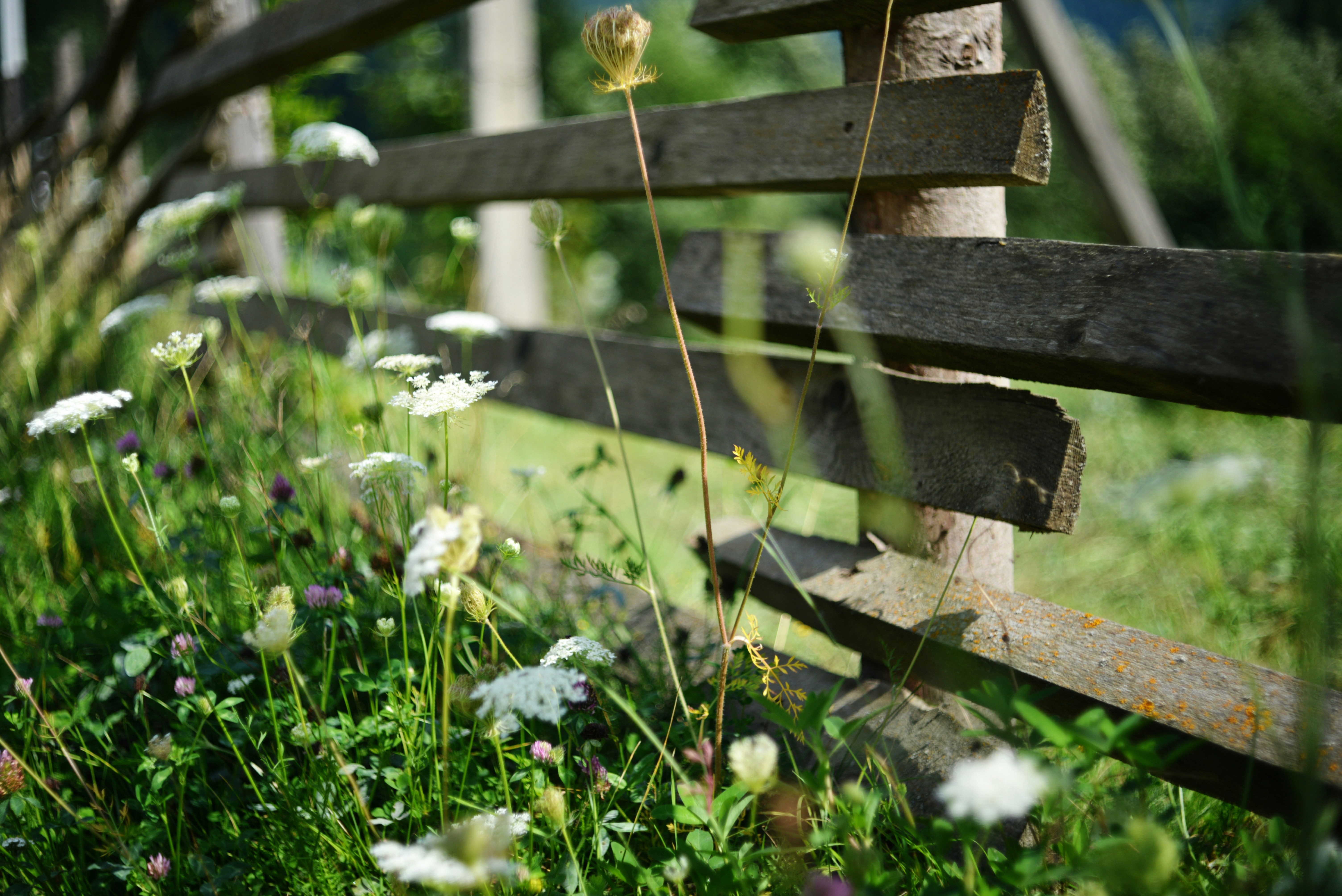 Photo by cherstve_pechivo