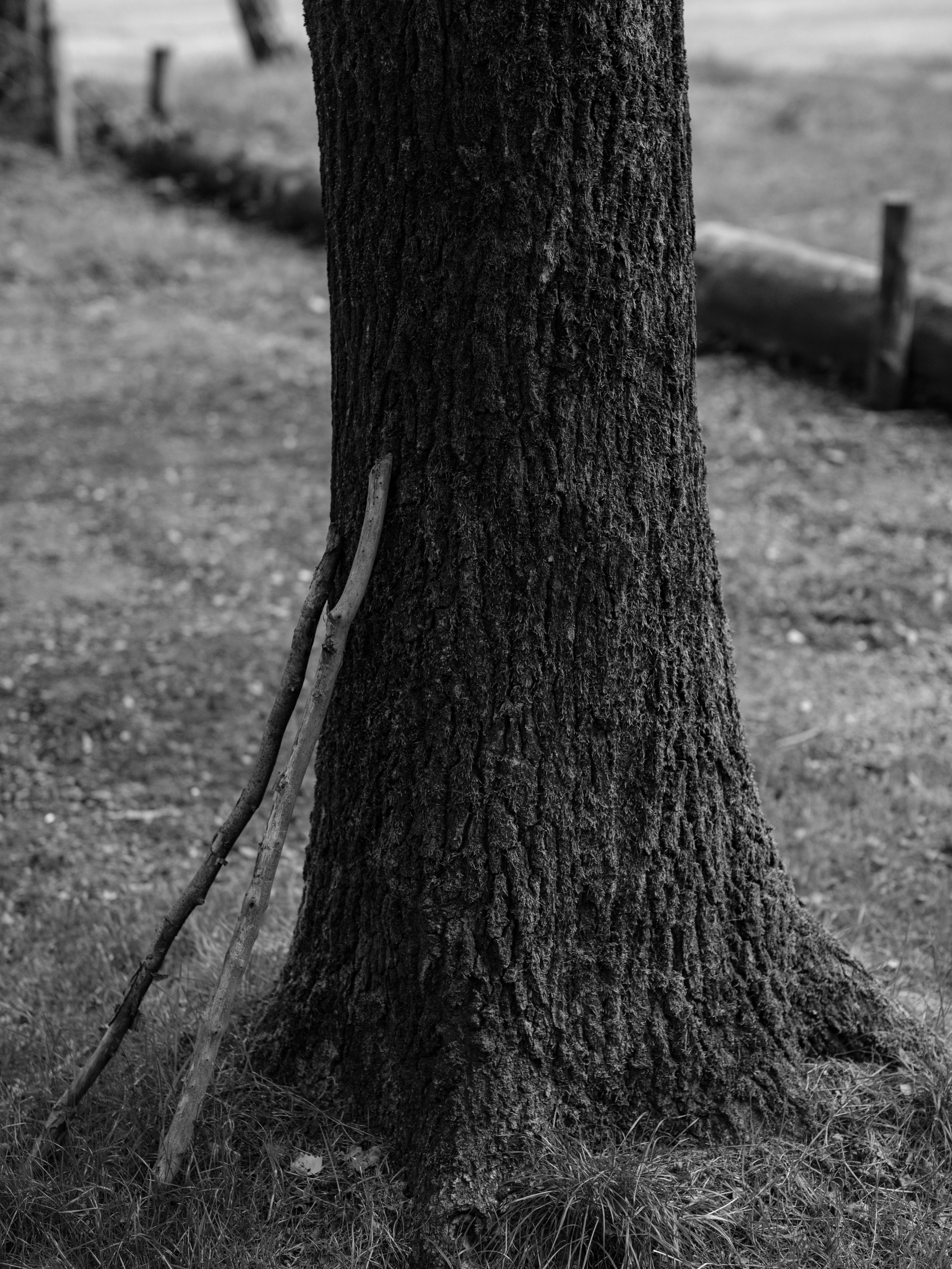 Photo by haberdoedas2