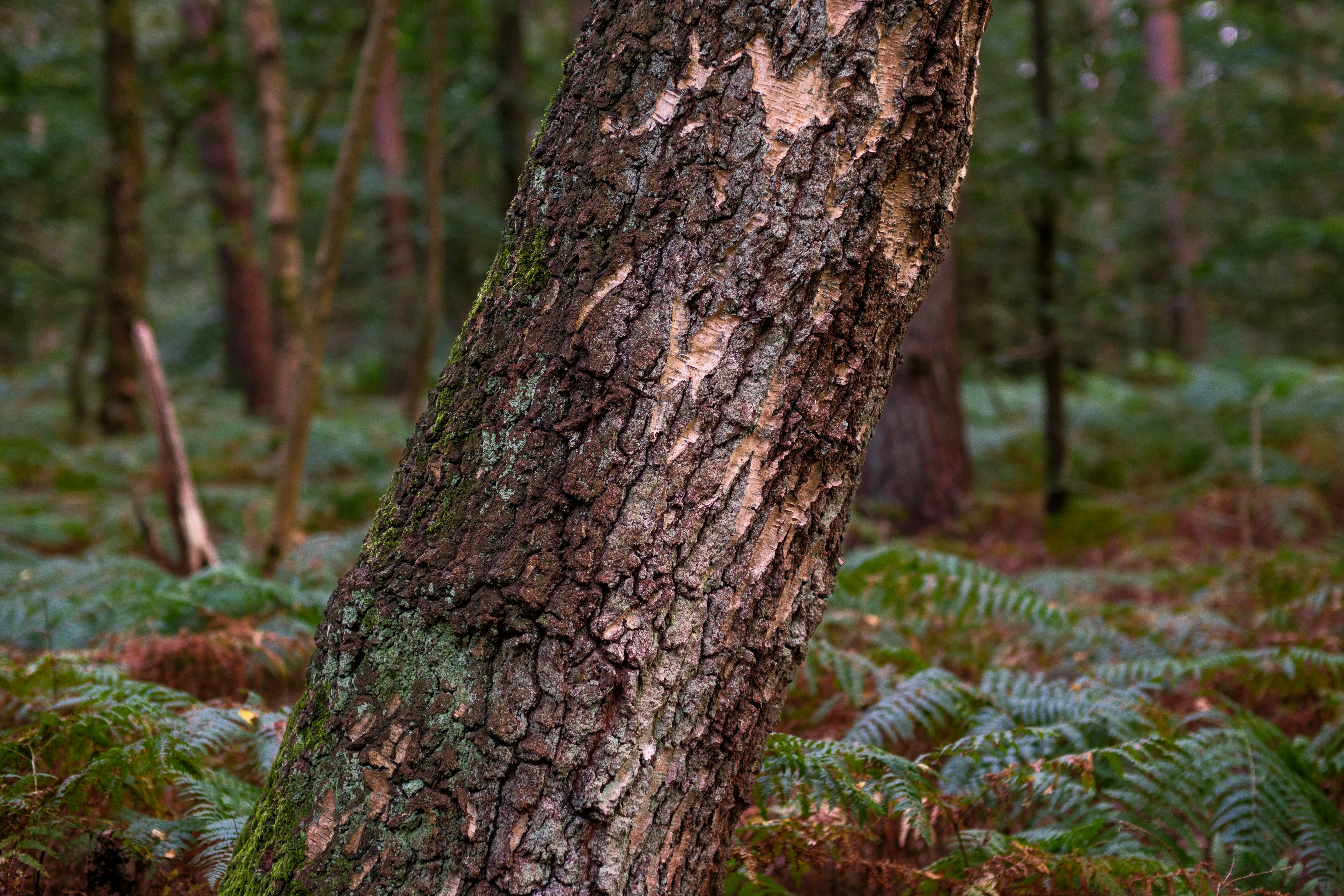 Photo by haberdoedas2