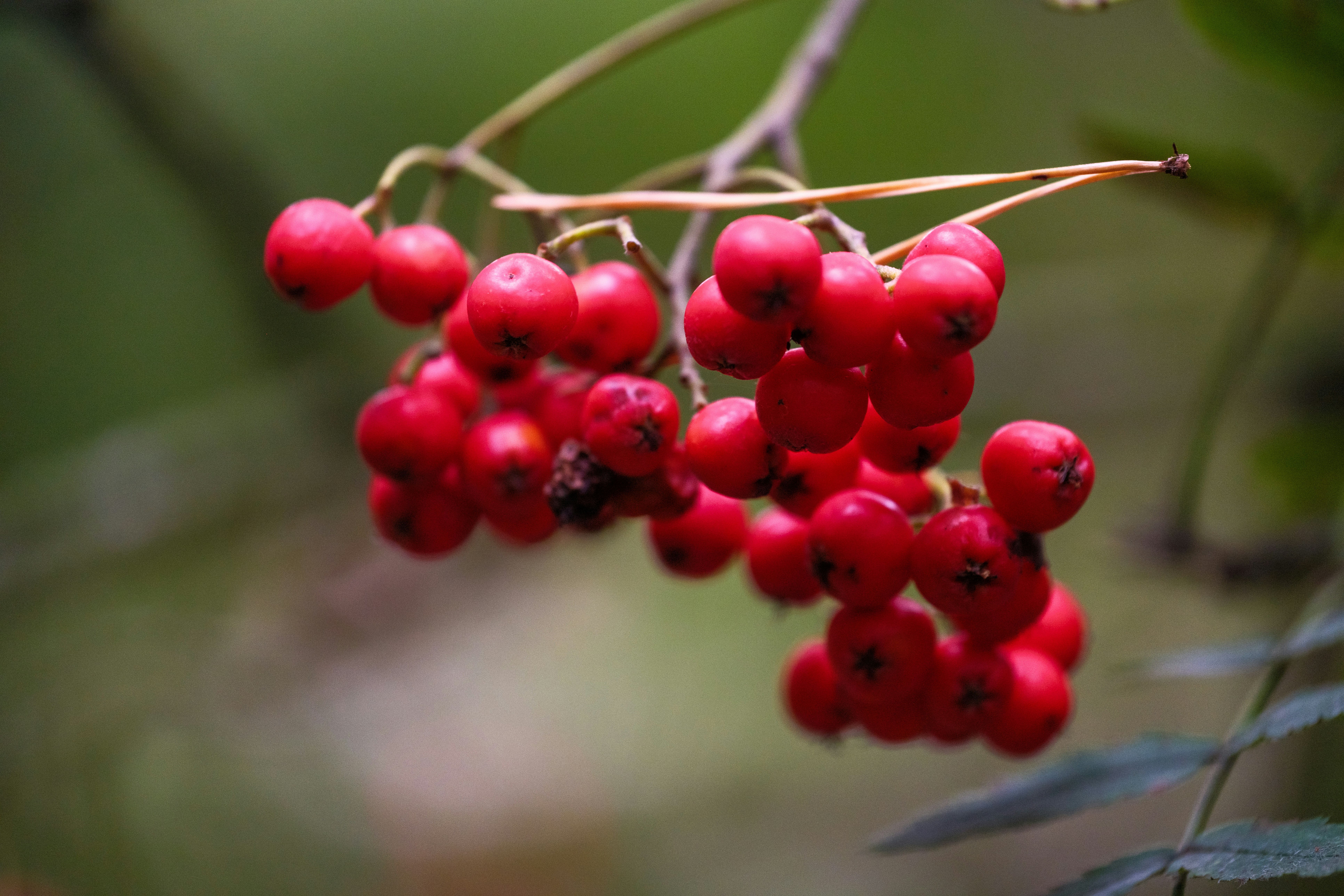 Photo by haberdoedas2