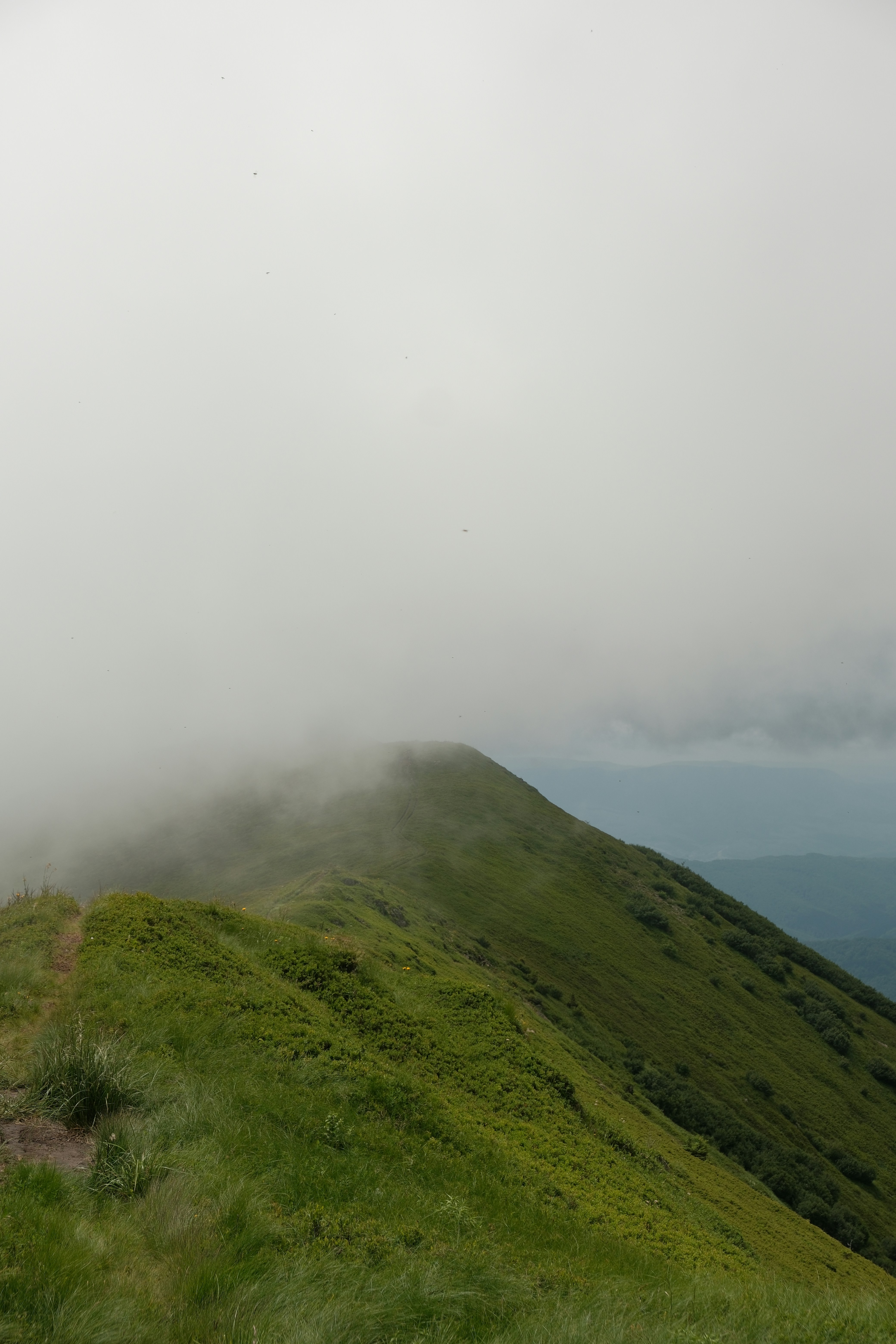 Photo by vesyniavska