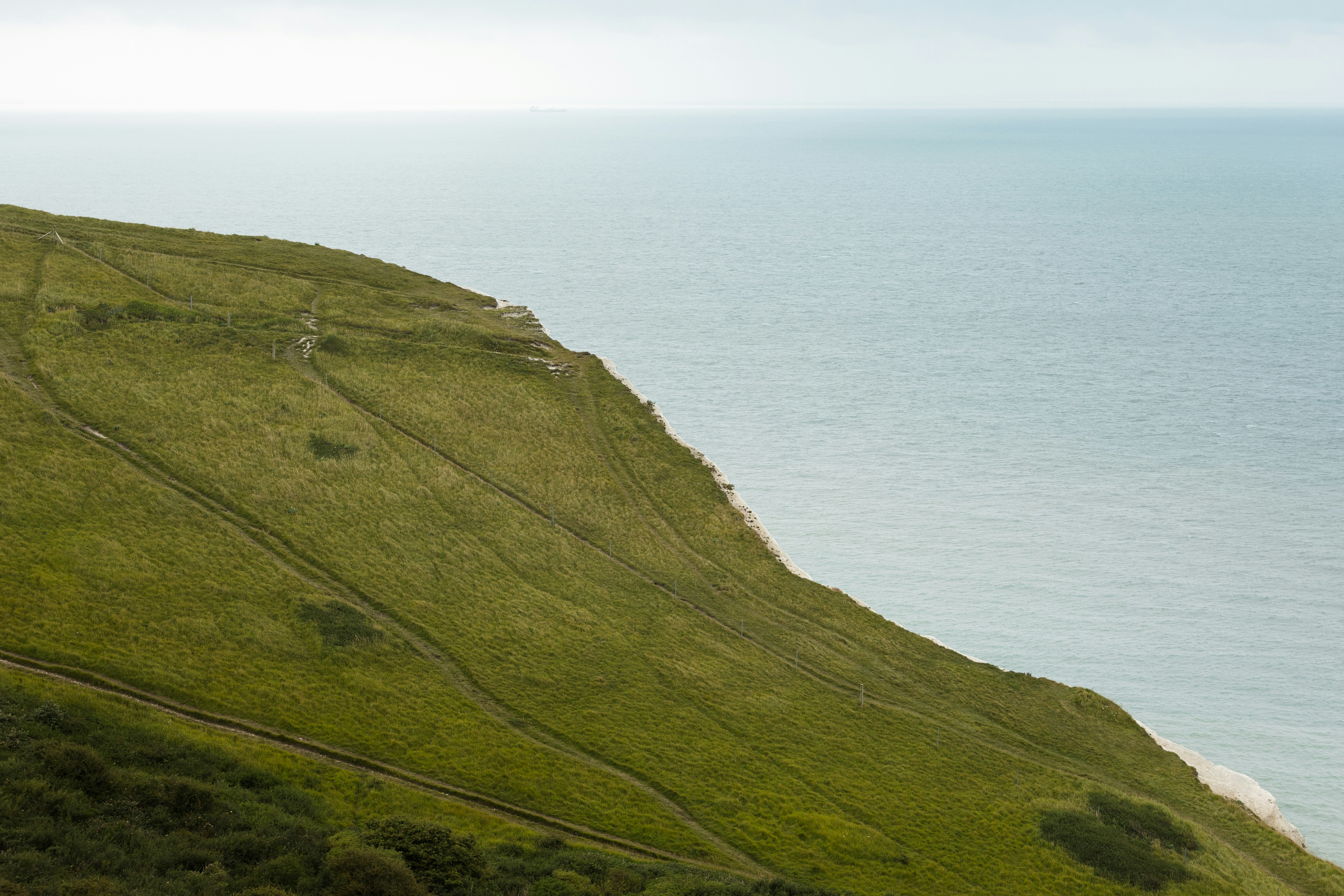 Photo by lauralezman