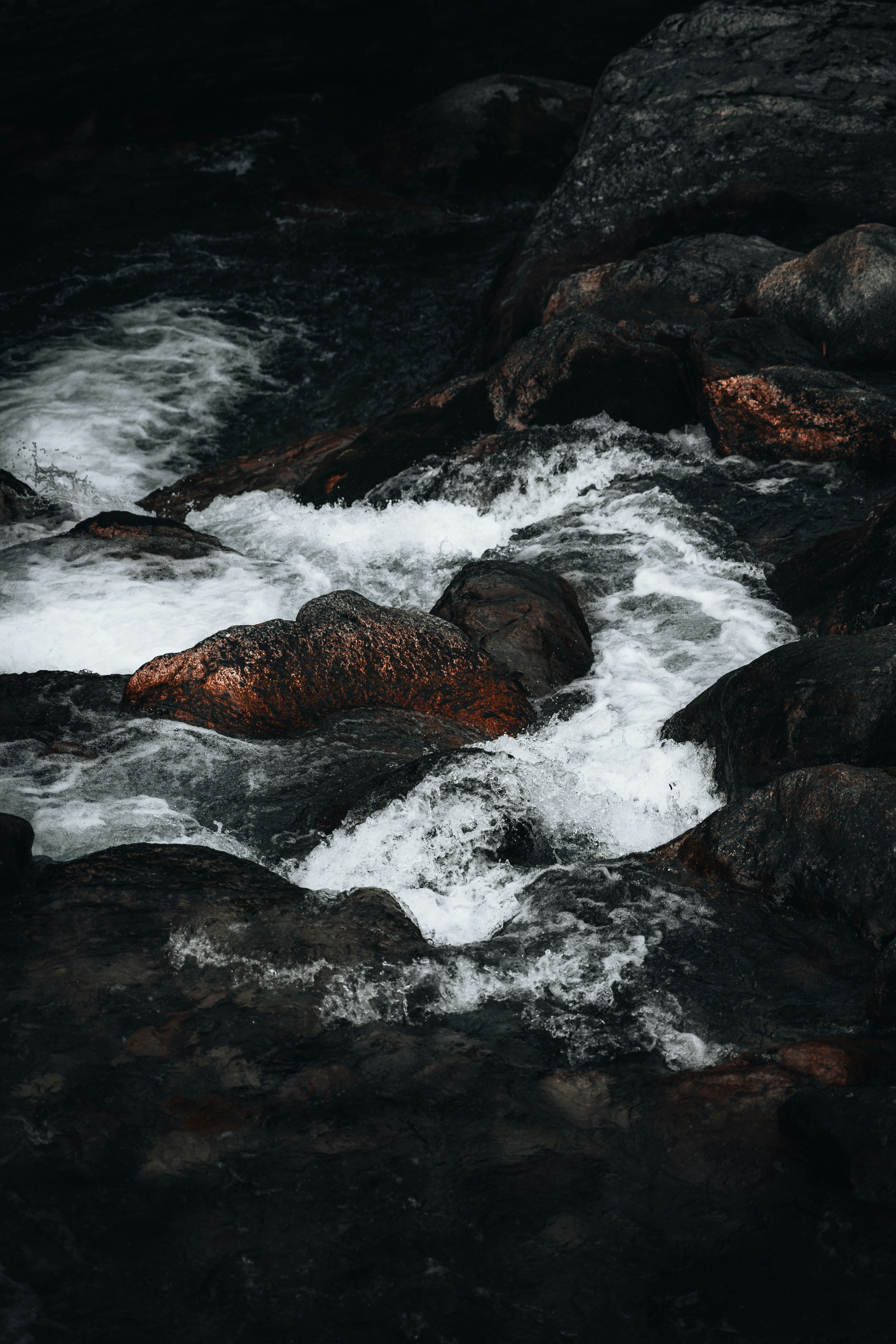 Photo by androwv