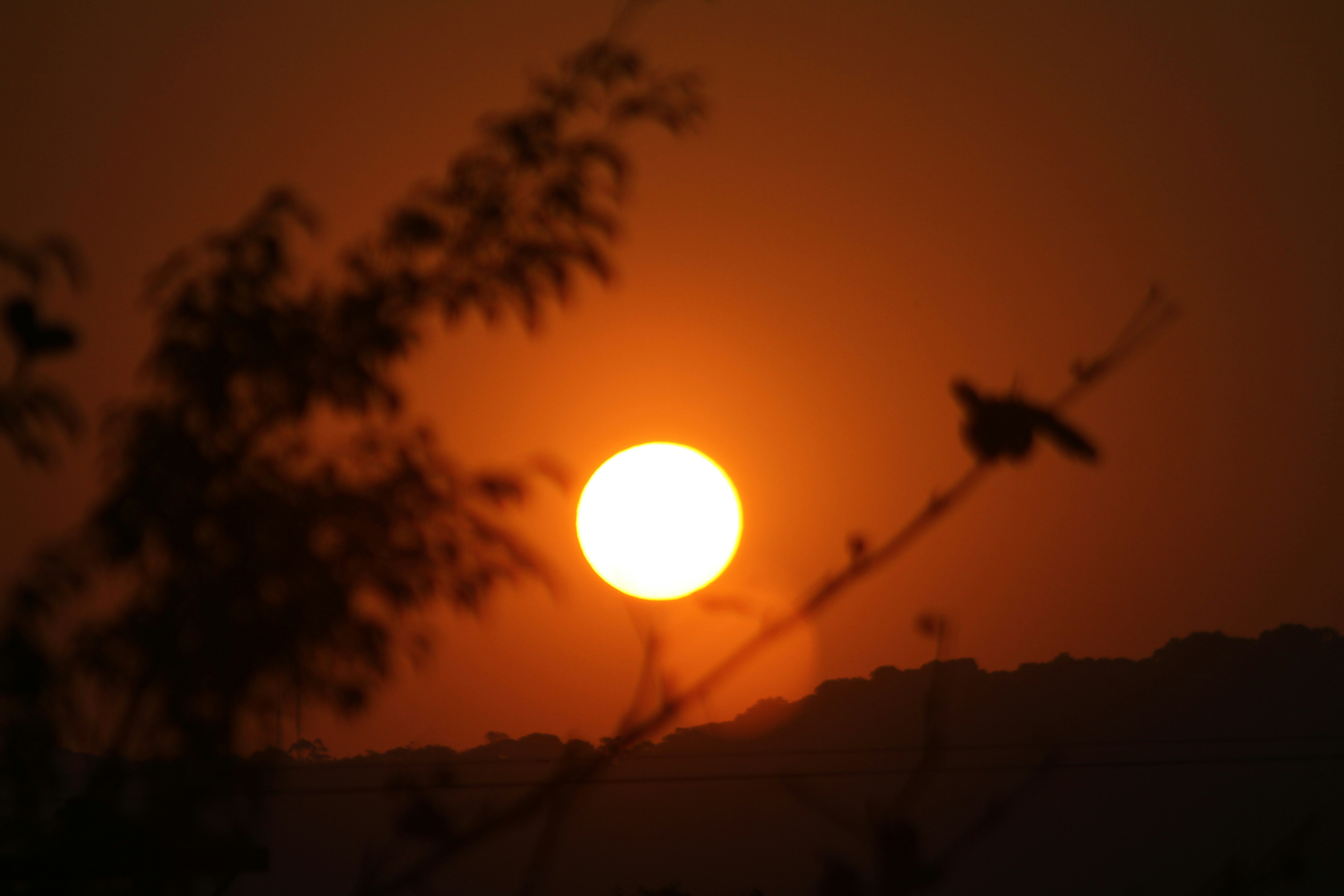 Photo by najoi_designer