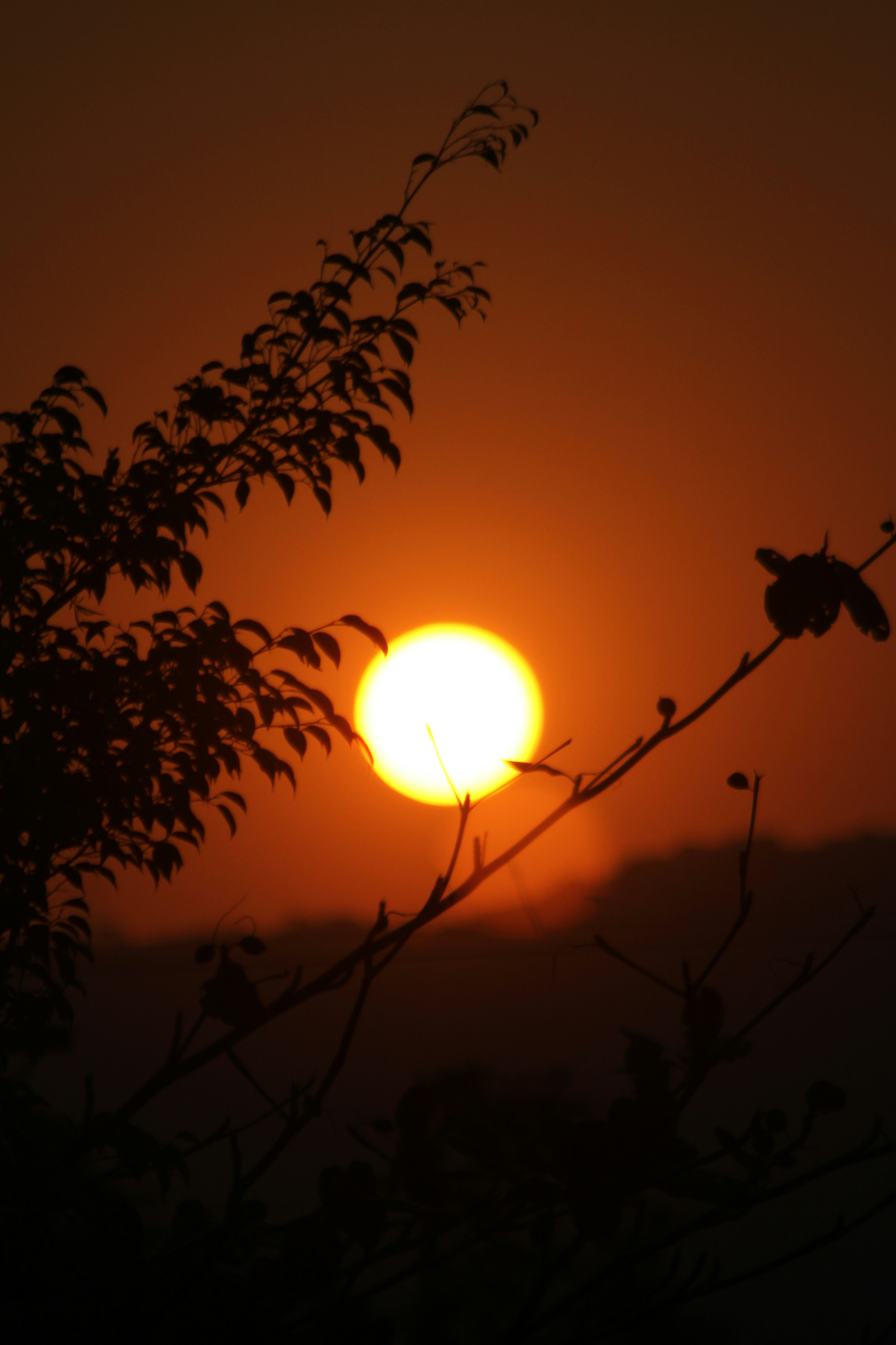 Photo by najoi_designer