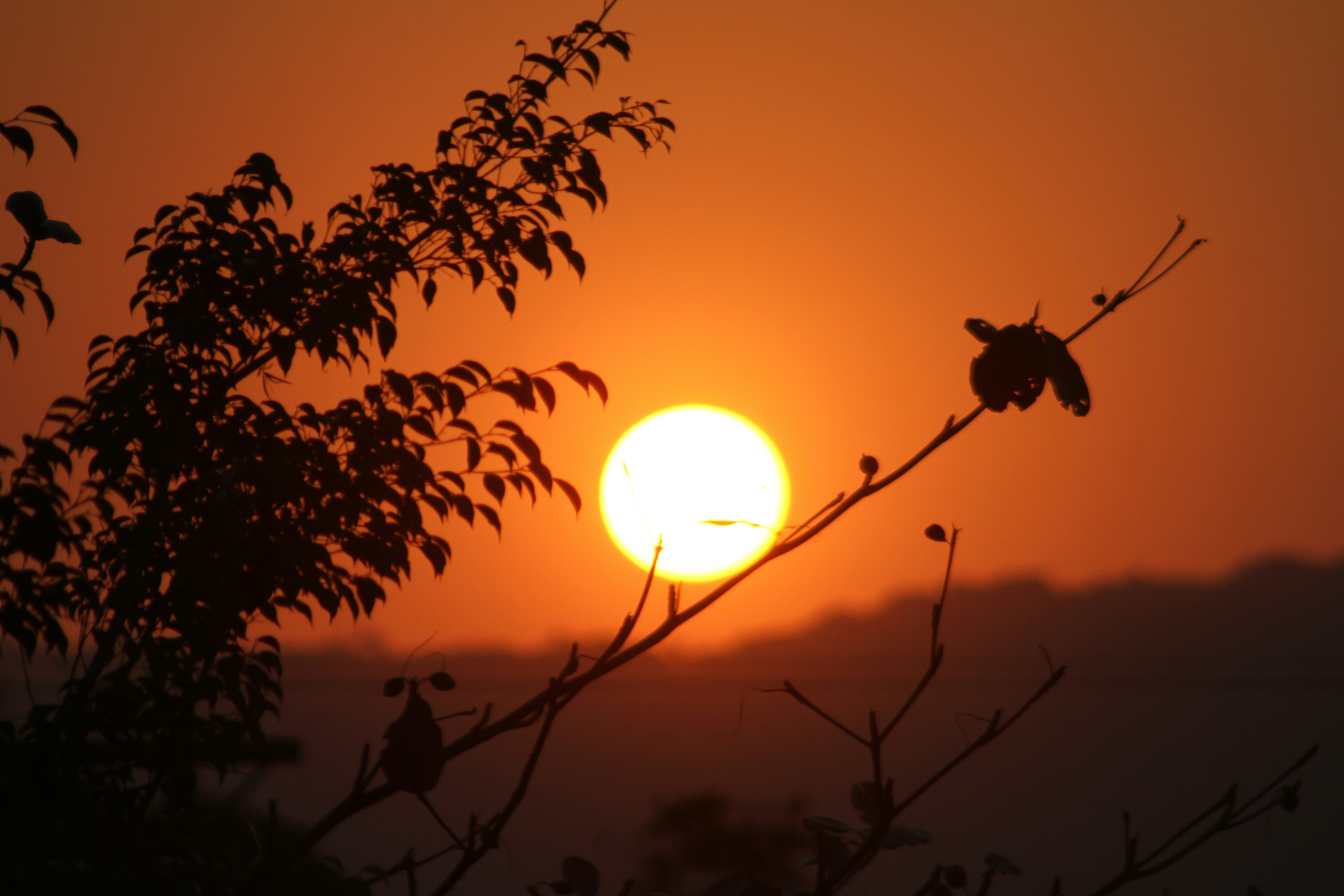 Photo by najoi_designer