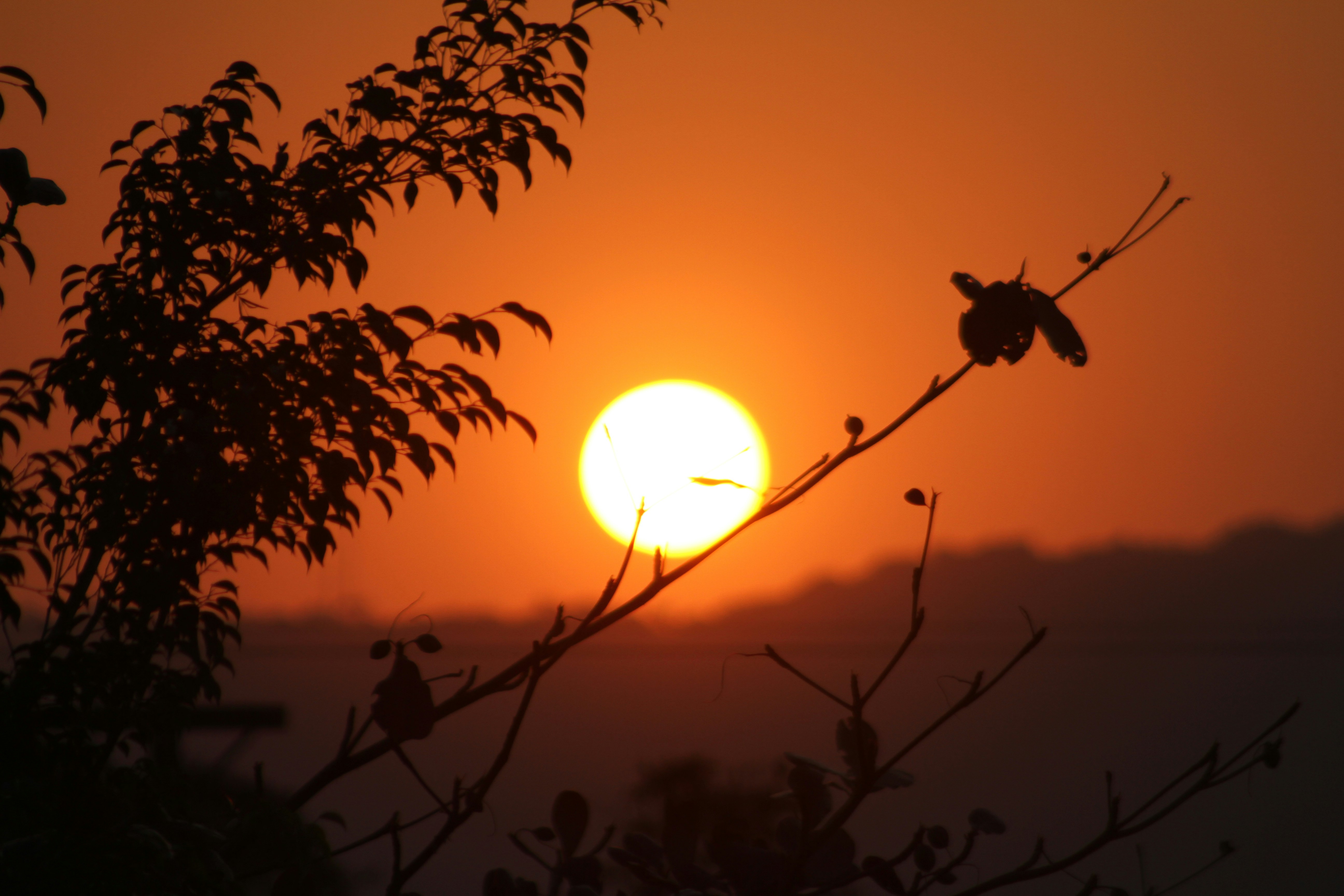 Photo by najoi_designer