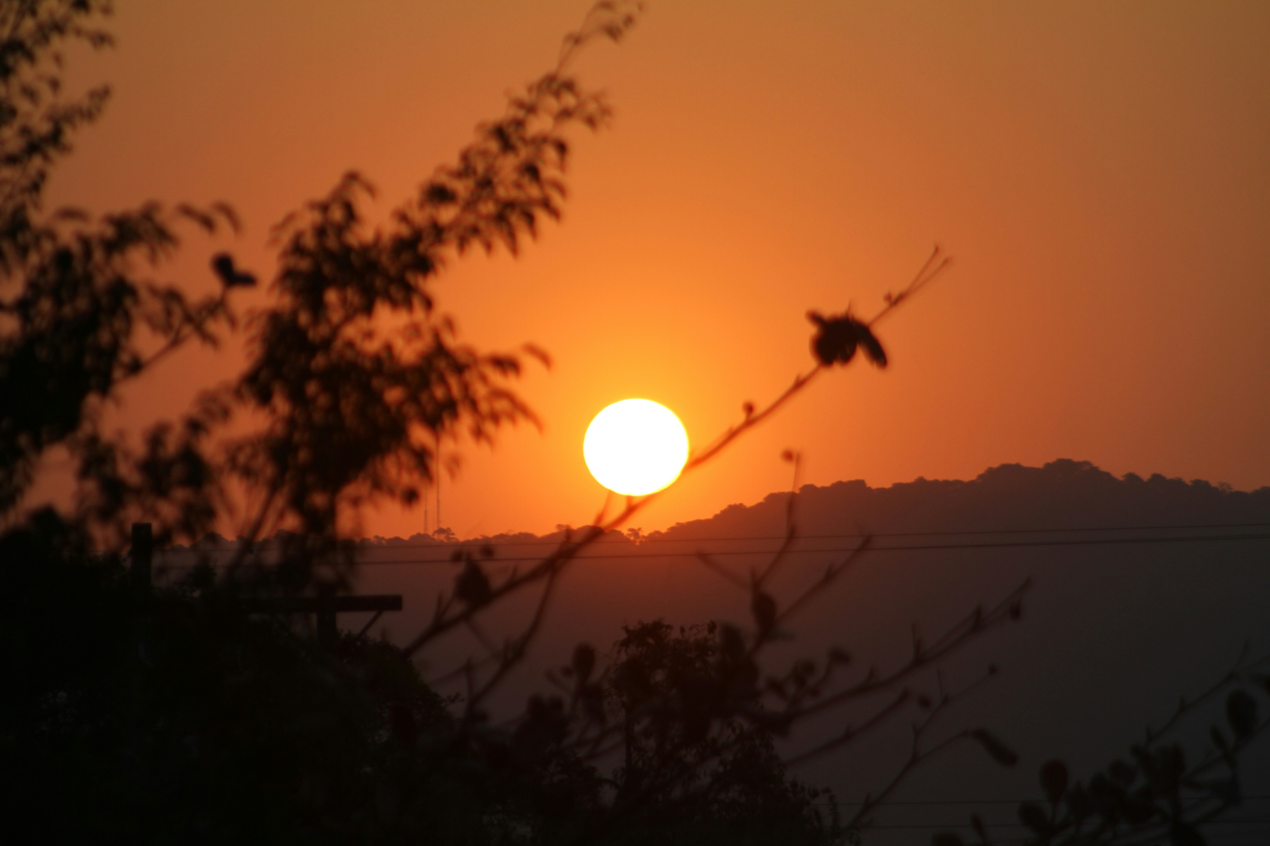 Photo by najoi_designer