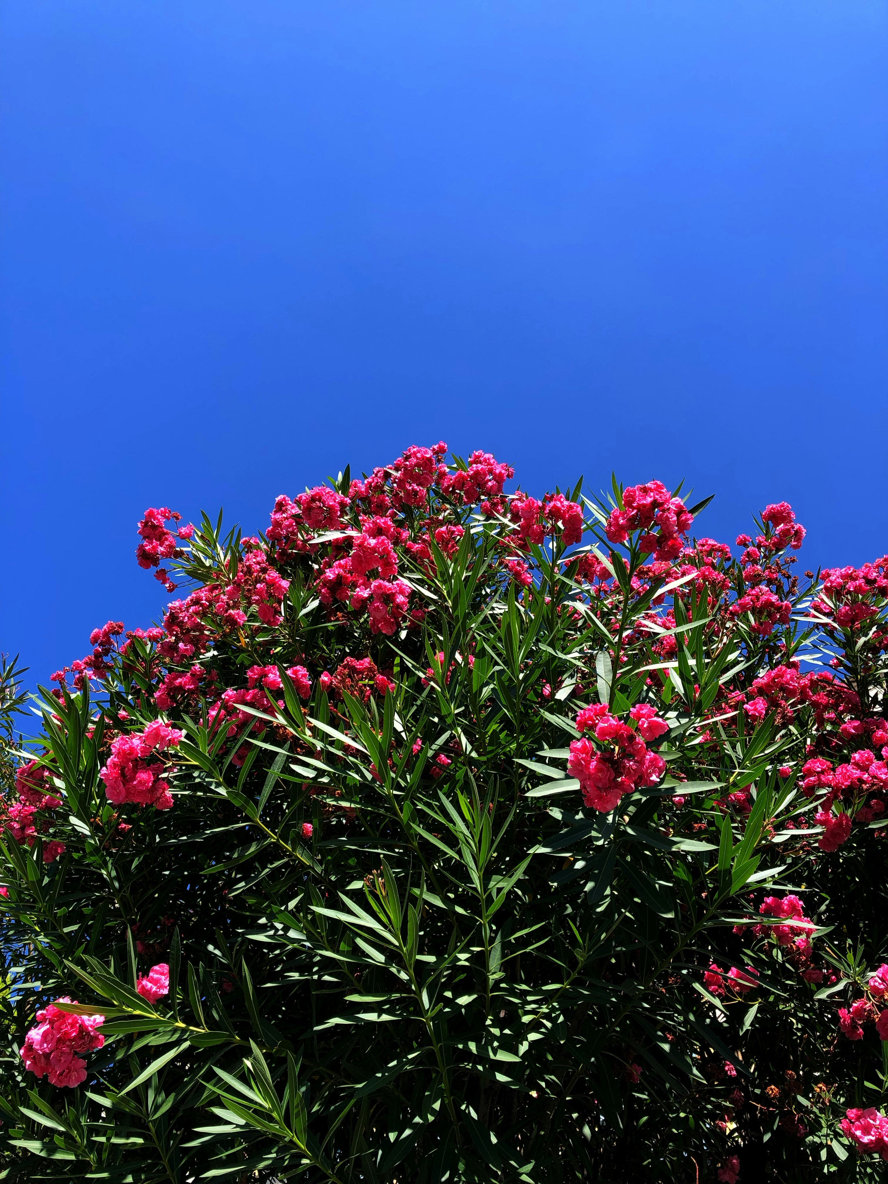 Piruza Isoyan (@piruza) | Comunidade de fotos da Unsplash