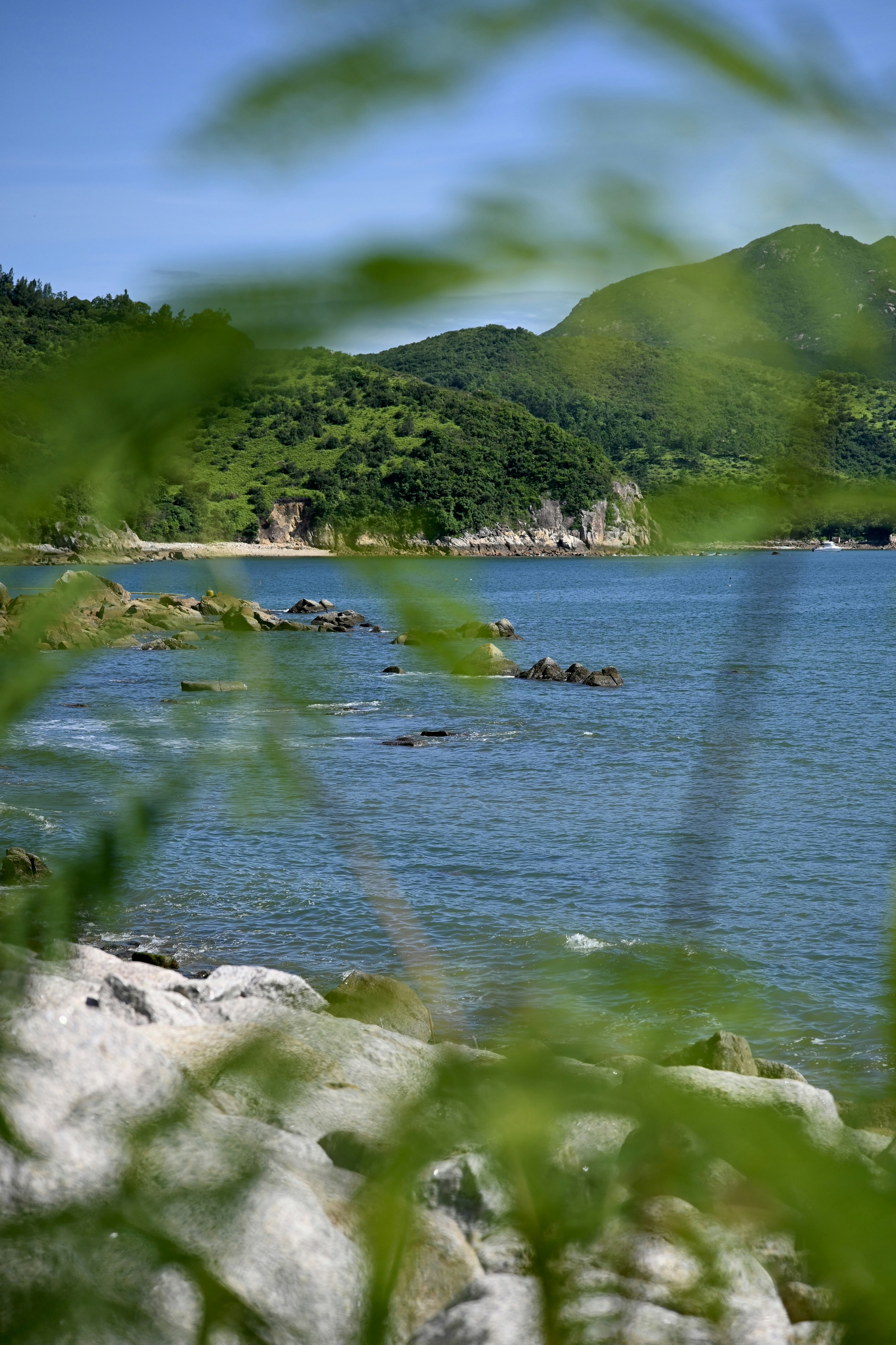 Photo by raidayzhang