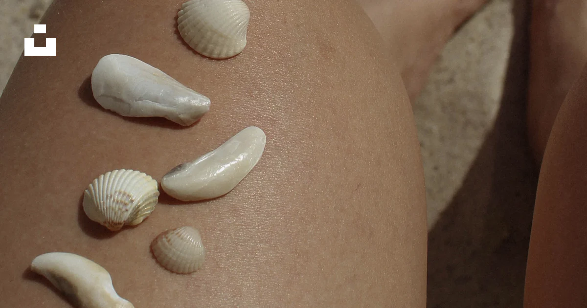 A close up of a person's legs with shells on them photo – Free Odesa ...