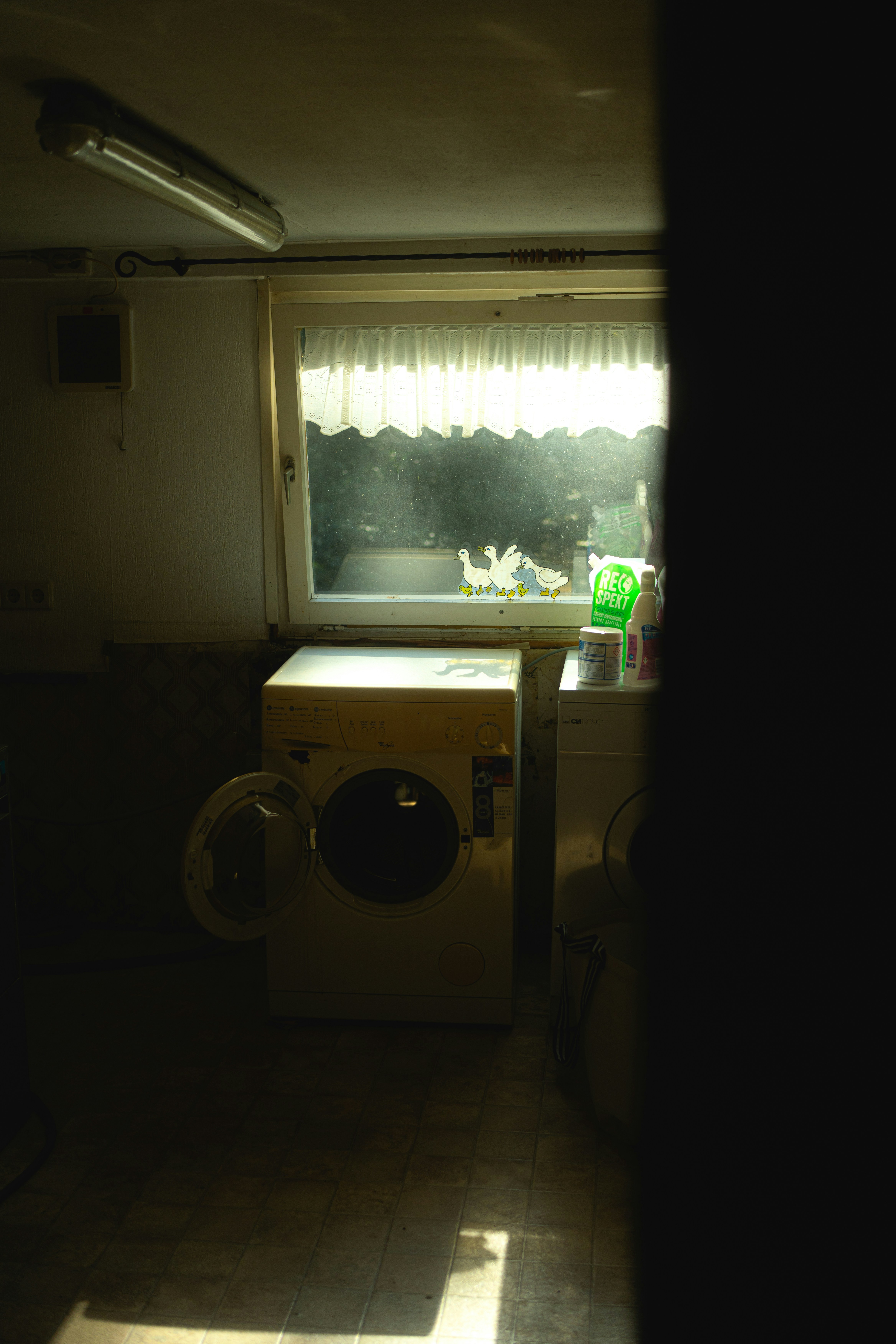 Photo by alexisnthere_