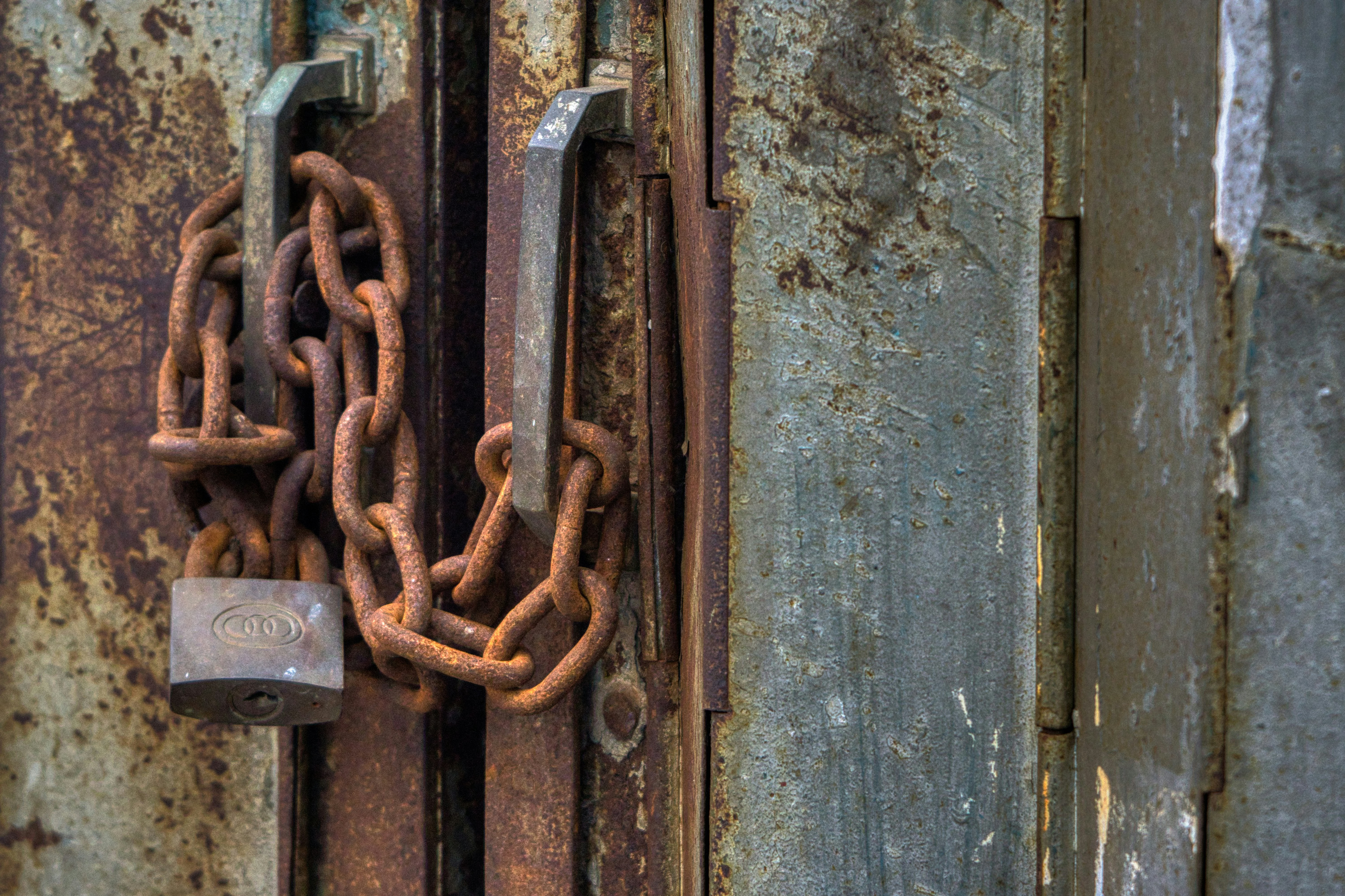 Photo by thomaskinto