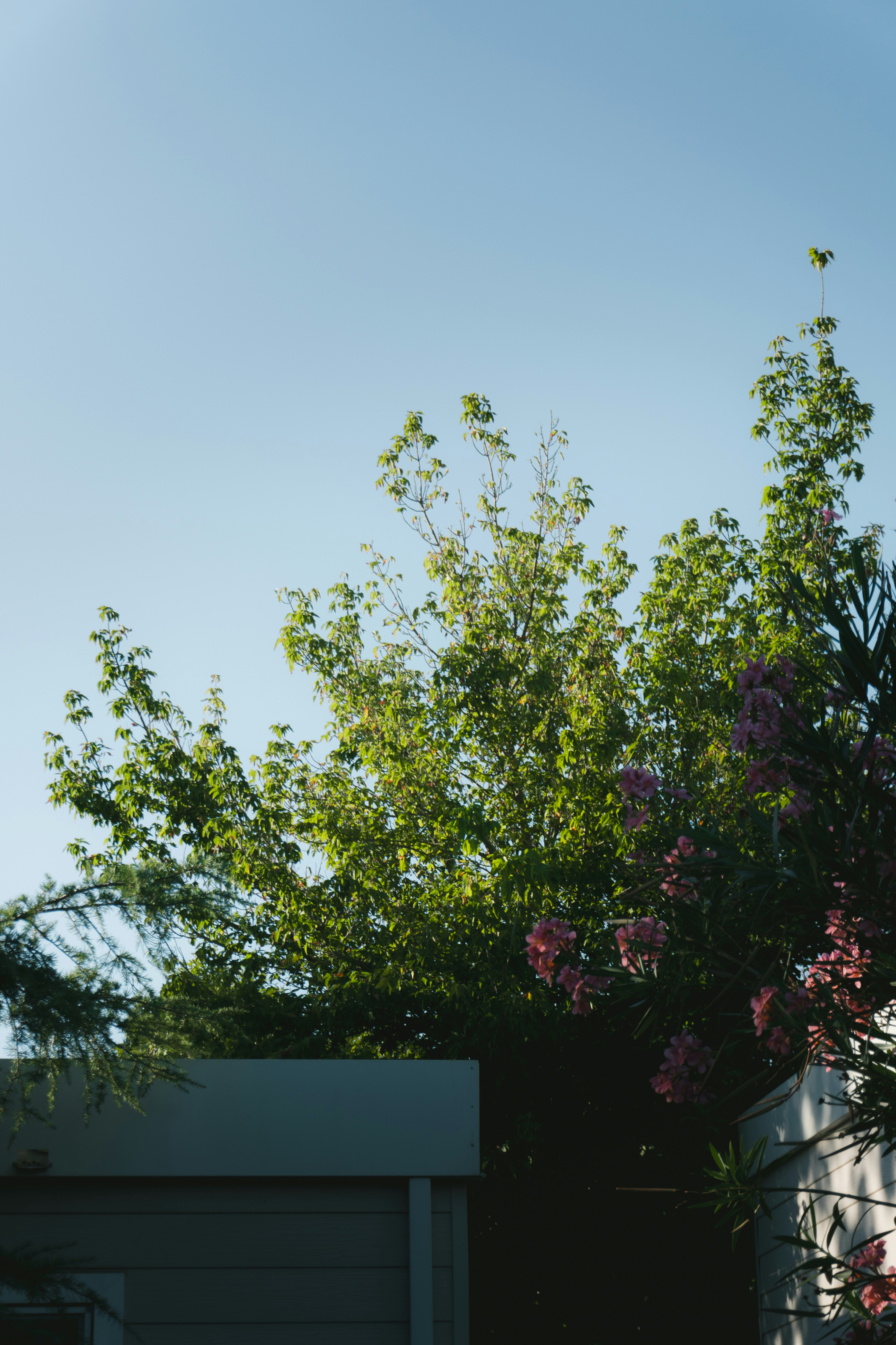 Photo by puskas_dominik