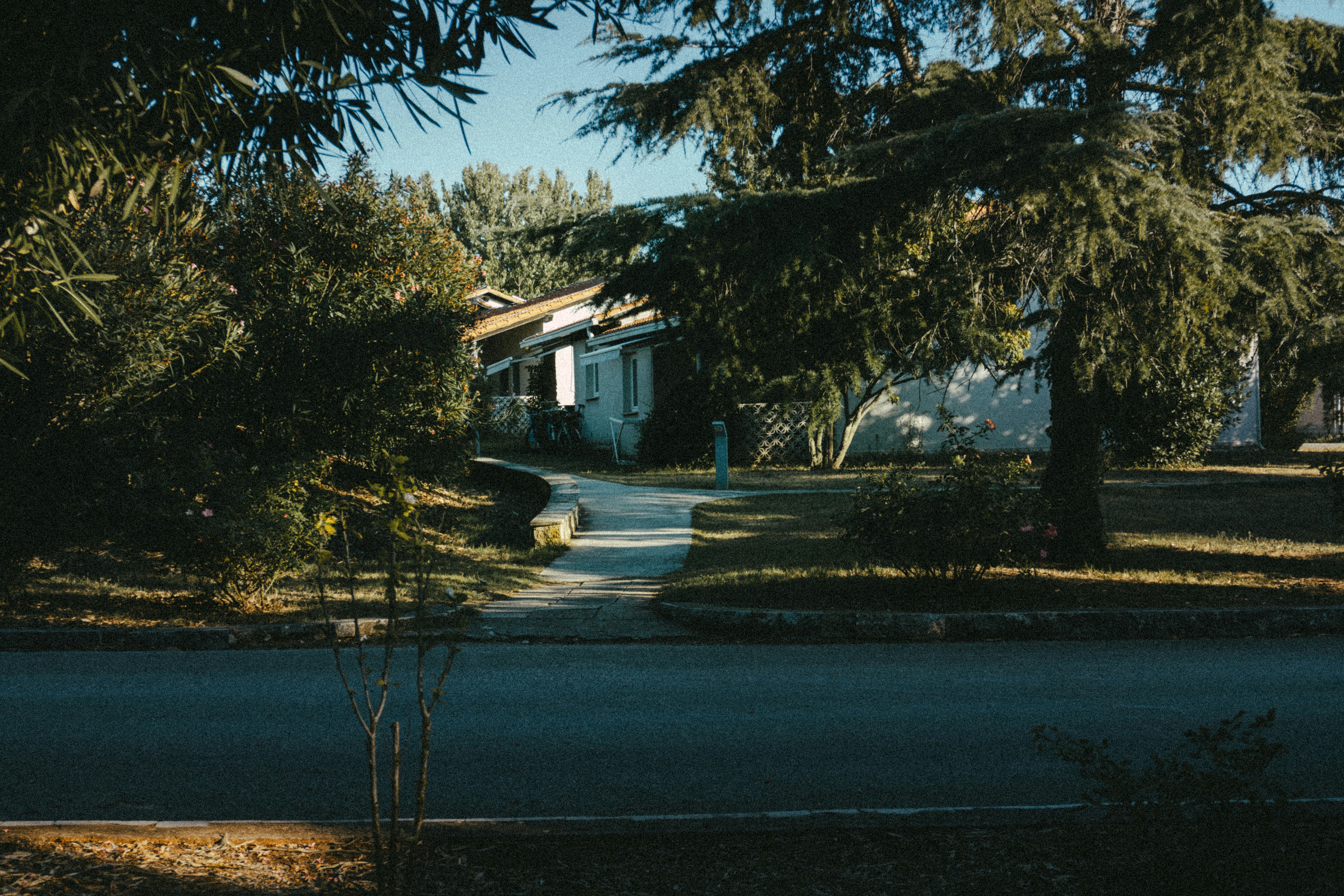 Photo by puskas_dominik