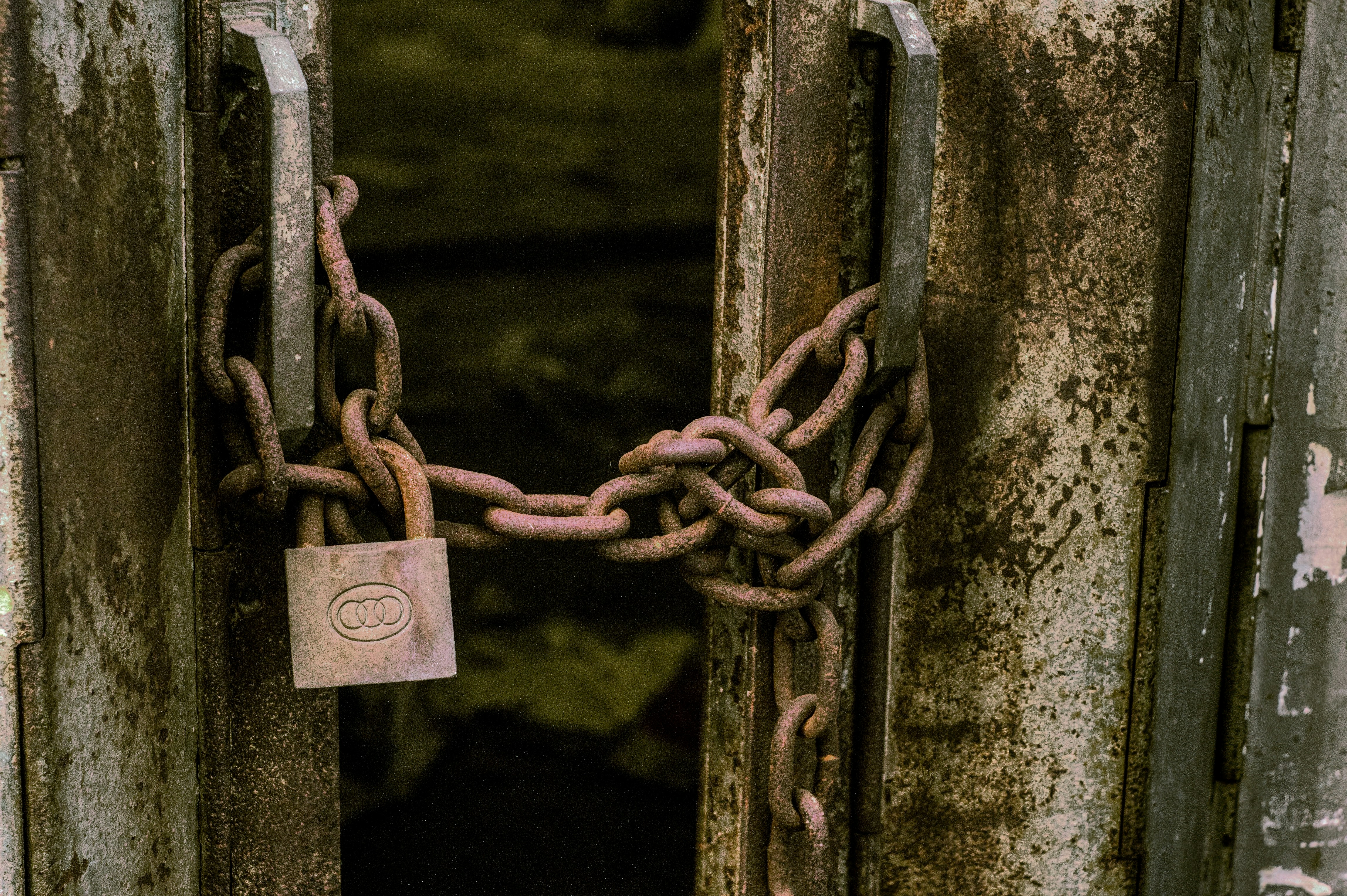 Photo by thomaskinto