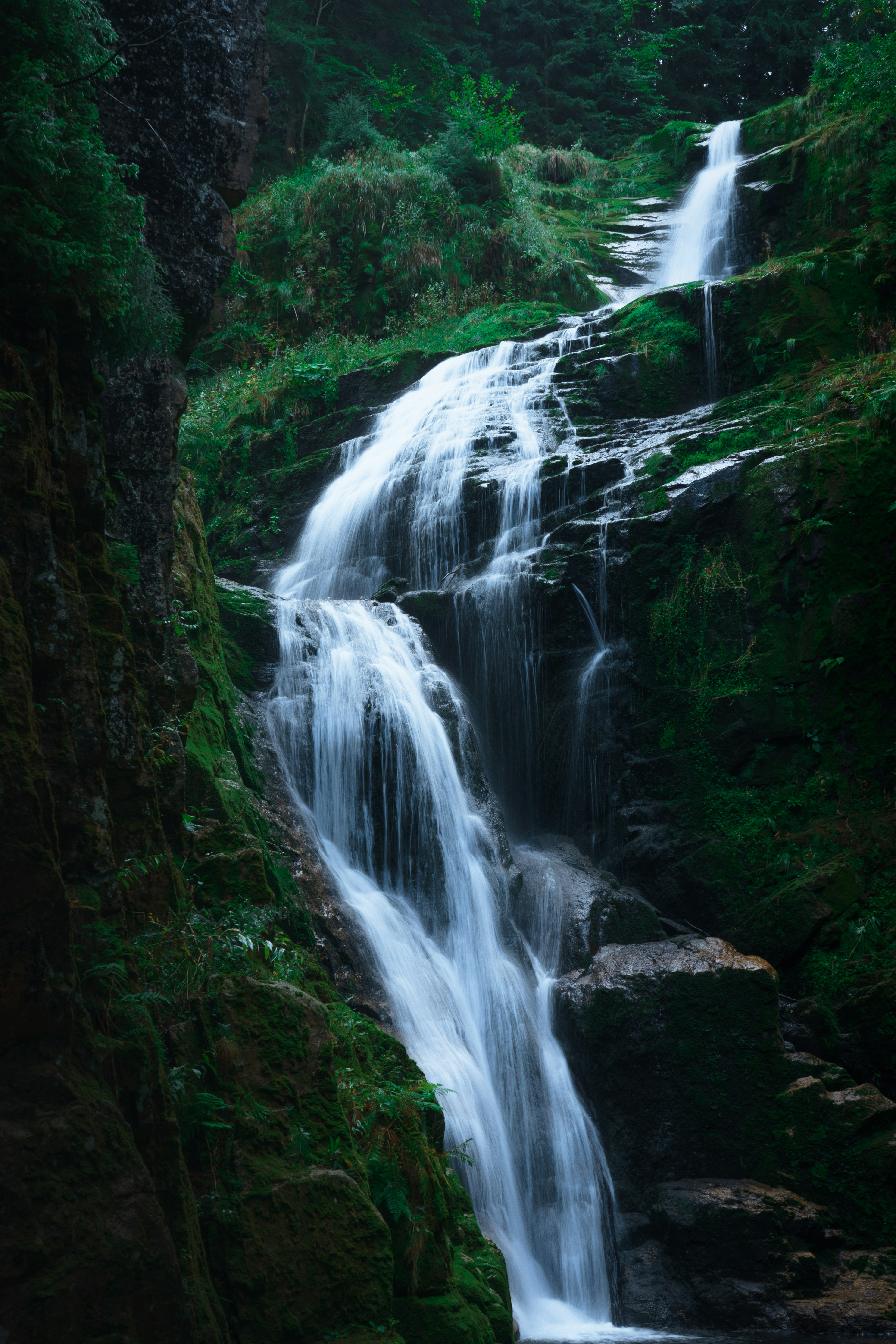 Photo by userwithcamera