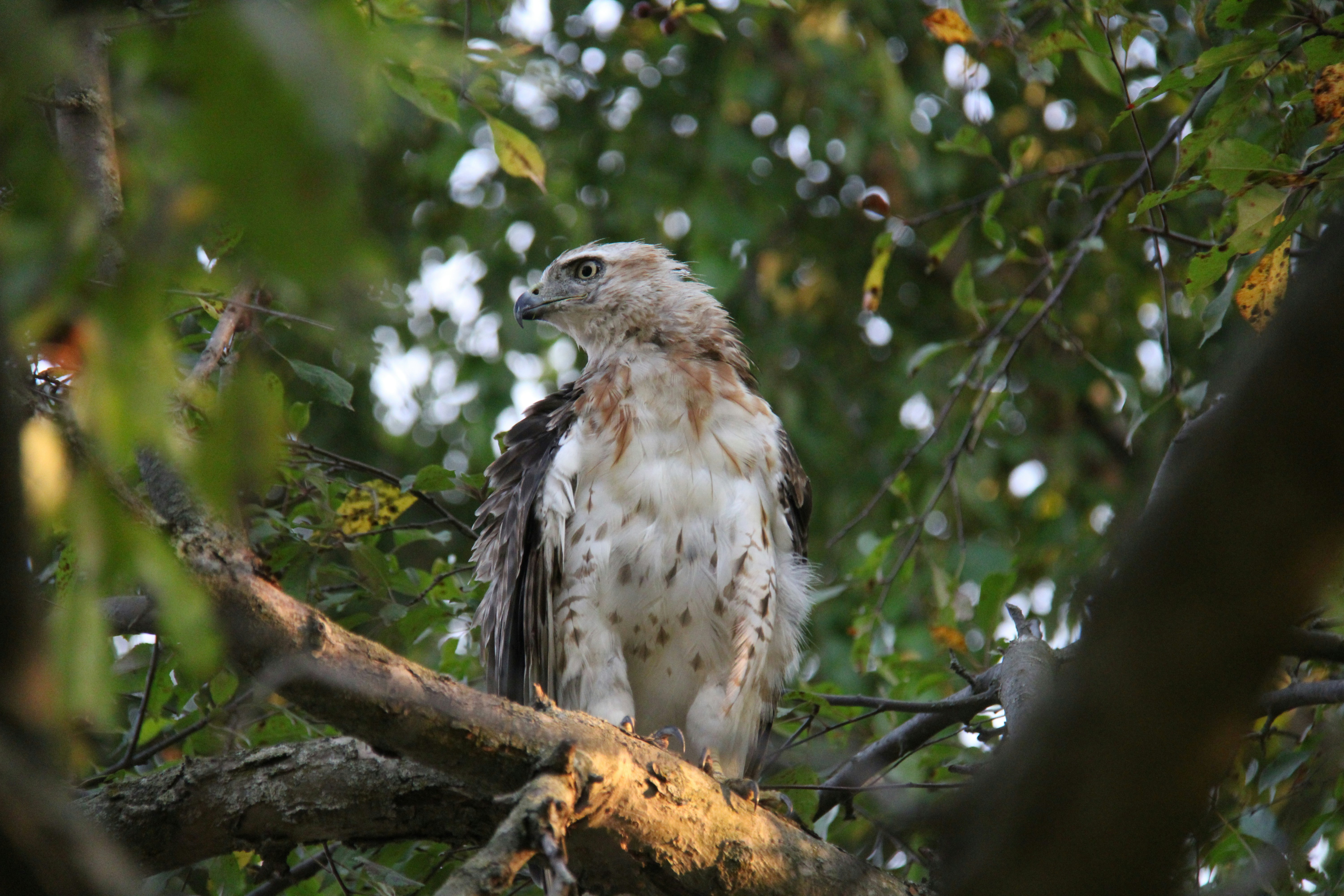 Photo by zaynabazam7