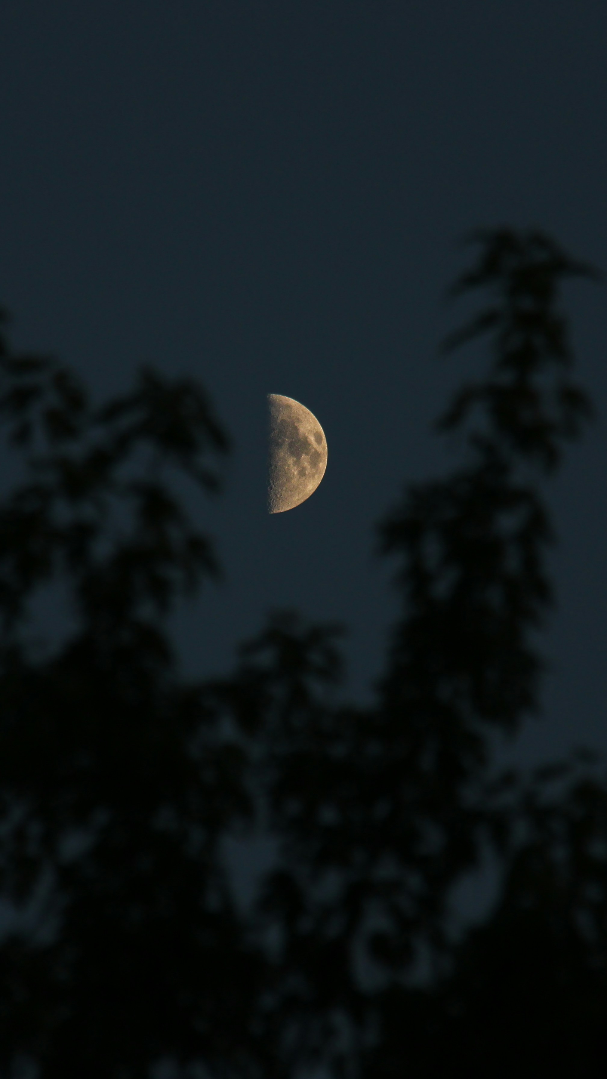 Photo by zaynabazam7