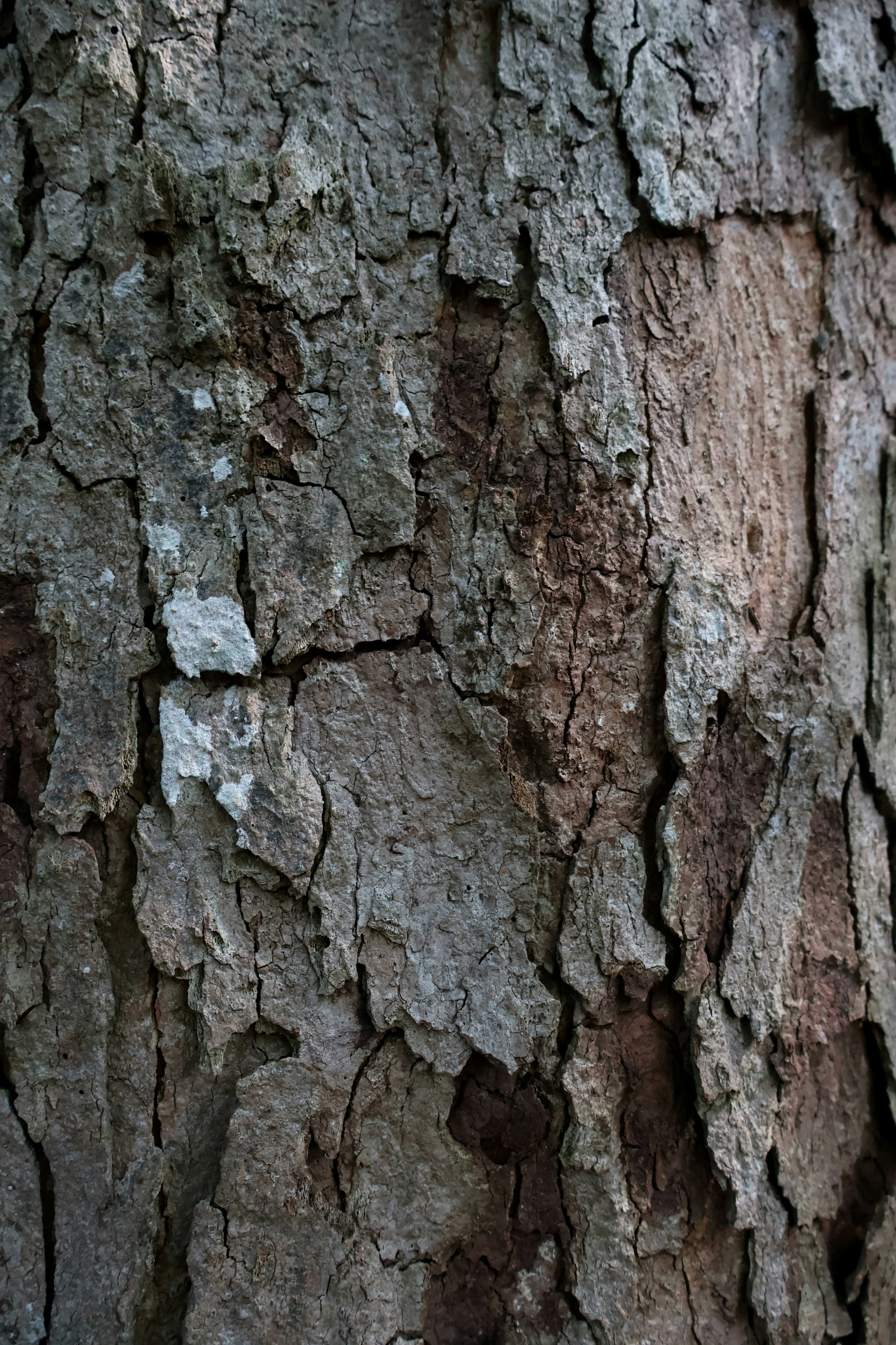 Photo by martin_lednar