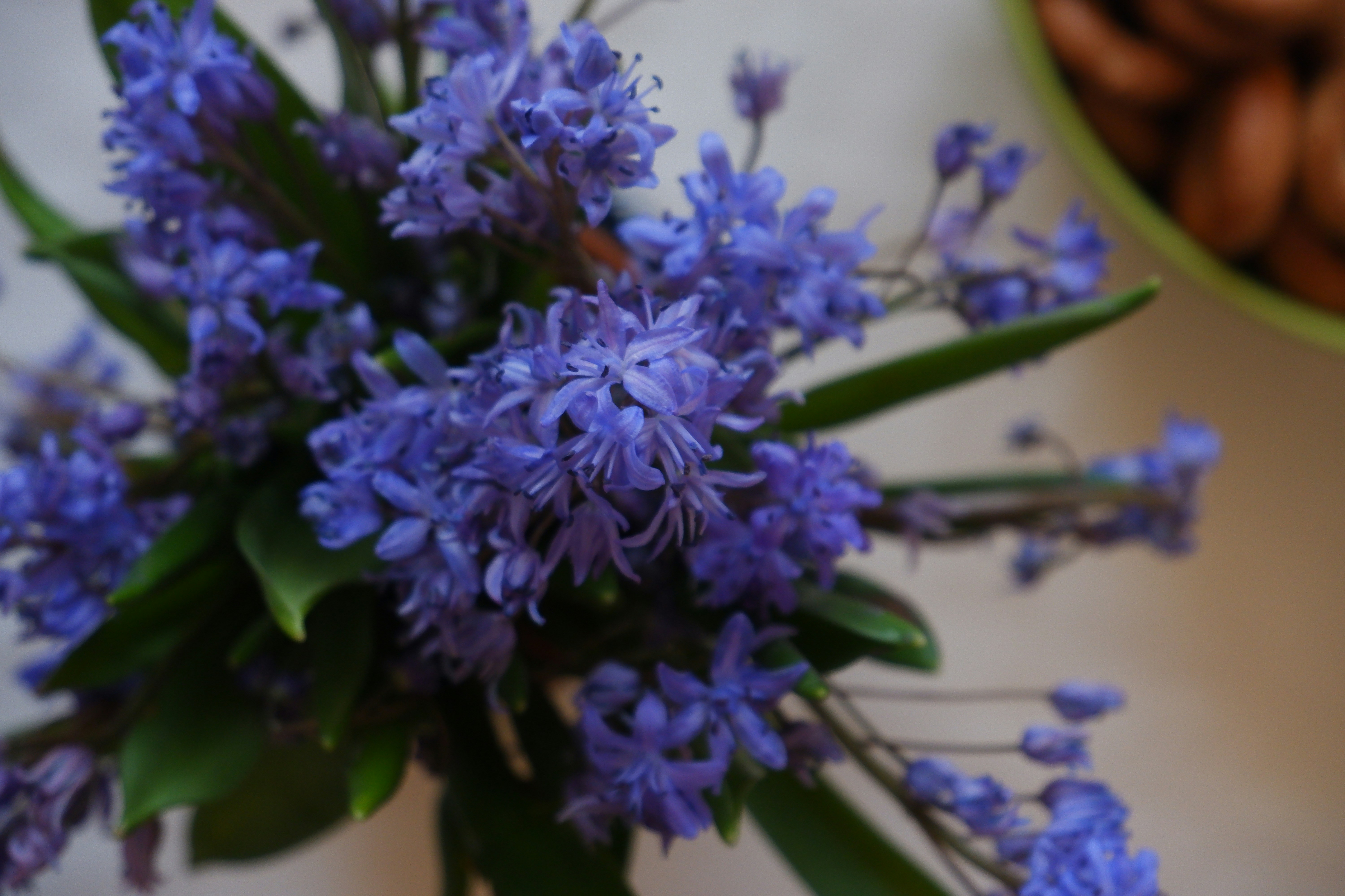 Photo by villan_elle