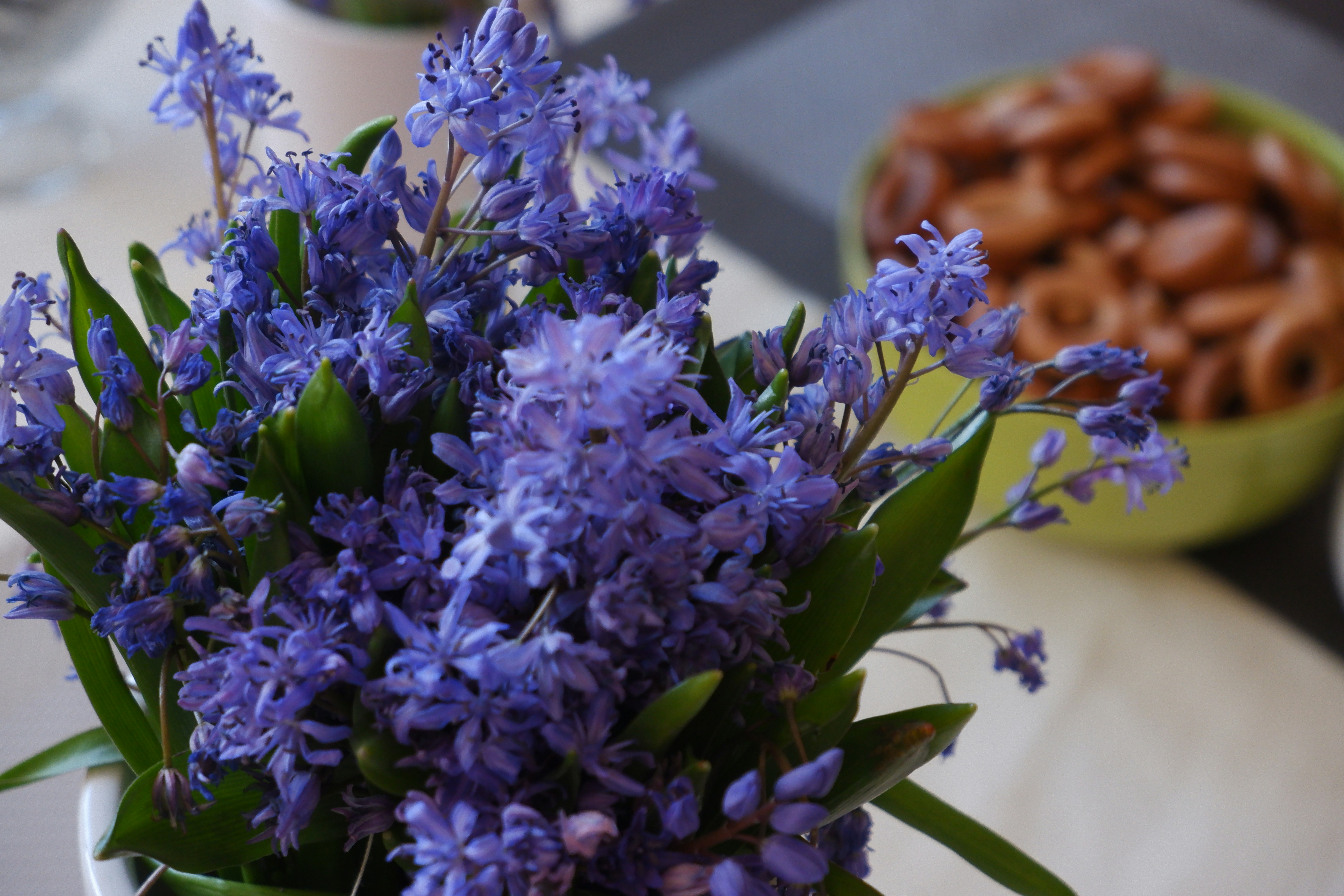 Photo by villan_elle