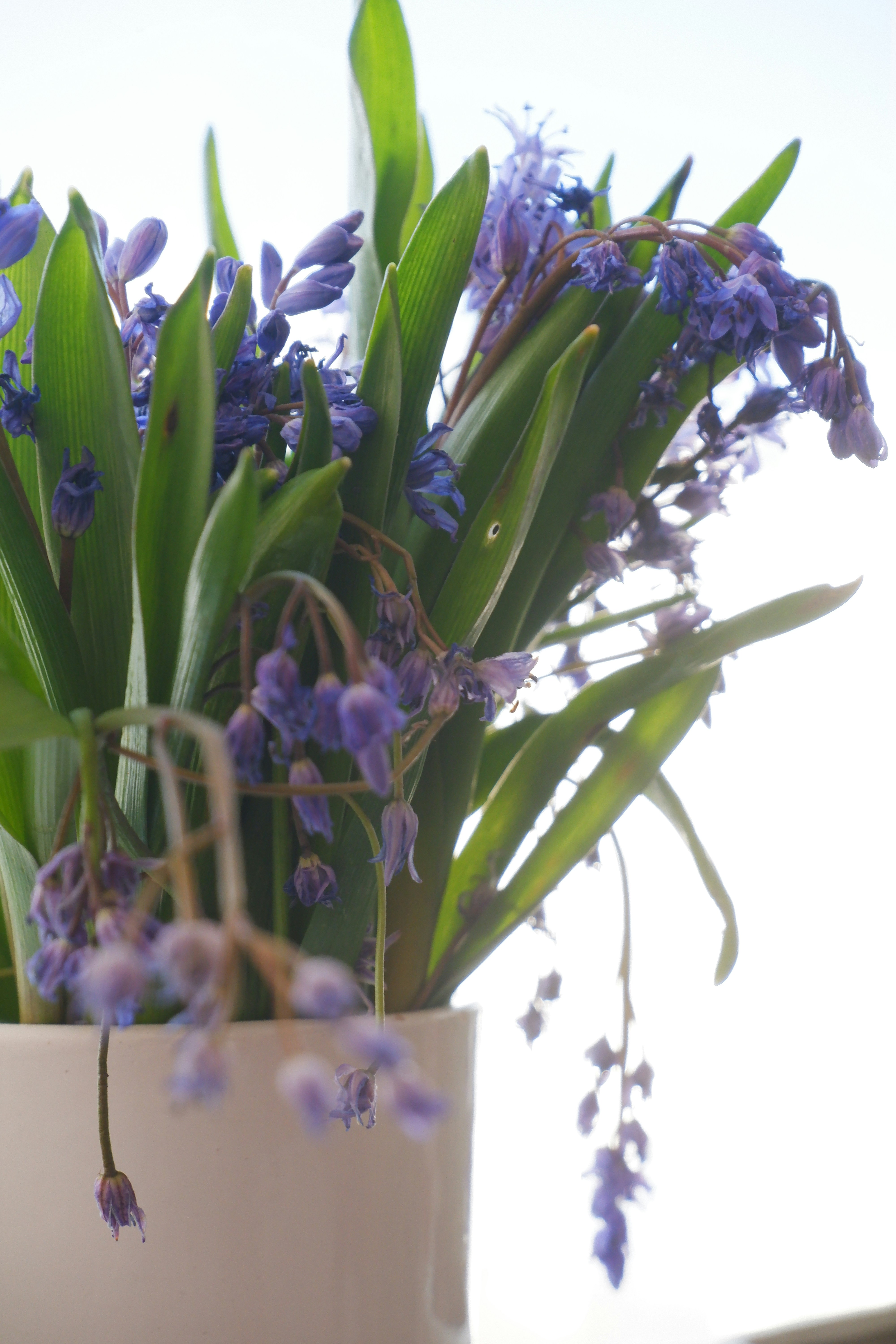 Photo by villan_elle