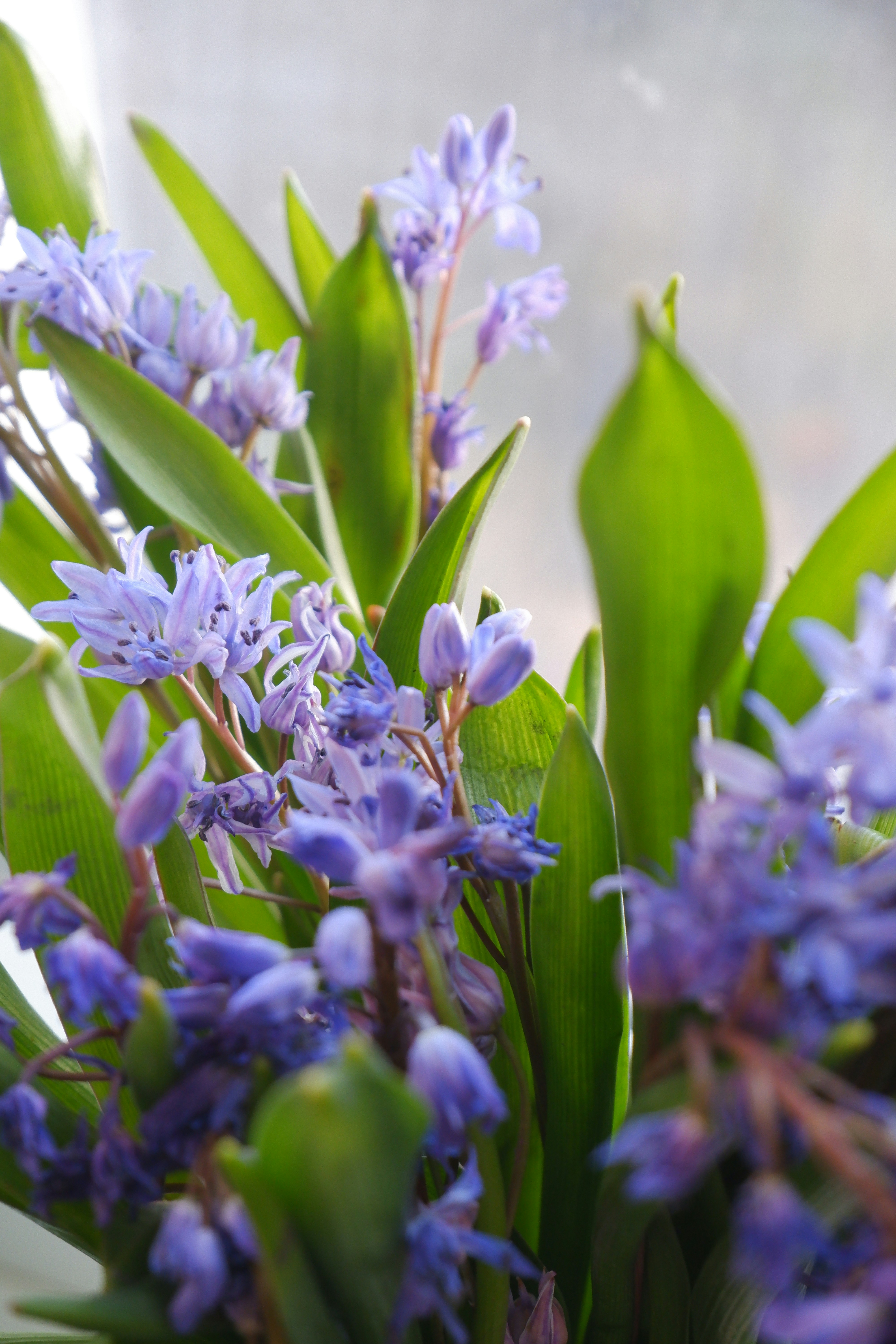 Photo by villan_elle