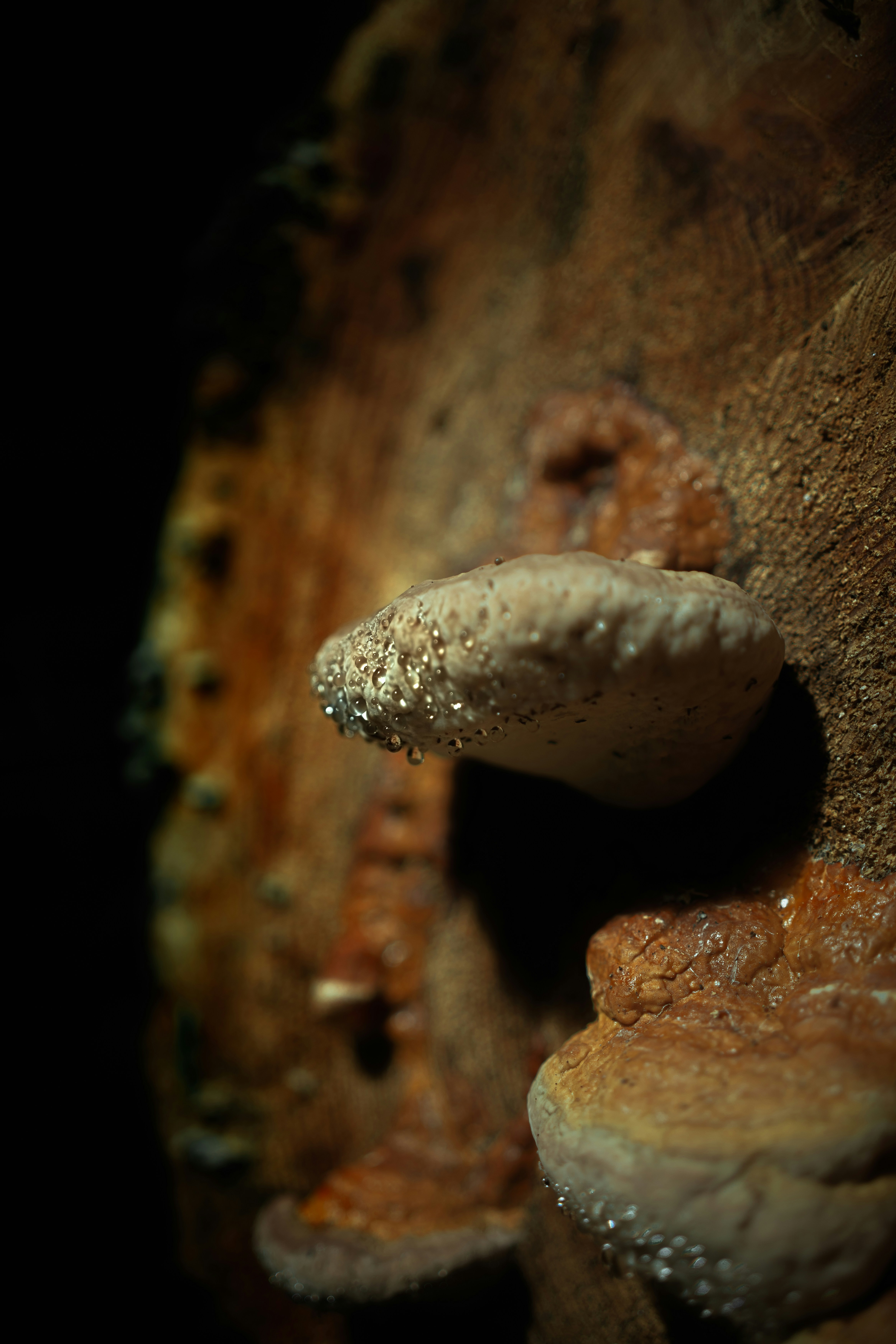 Photo by alexisnthere_