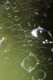 Clarté et transparence de mon intervention