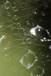 Clarté et transparence de mon intervention