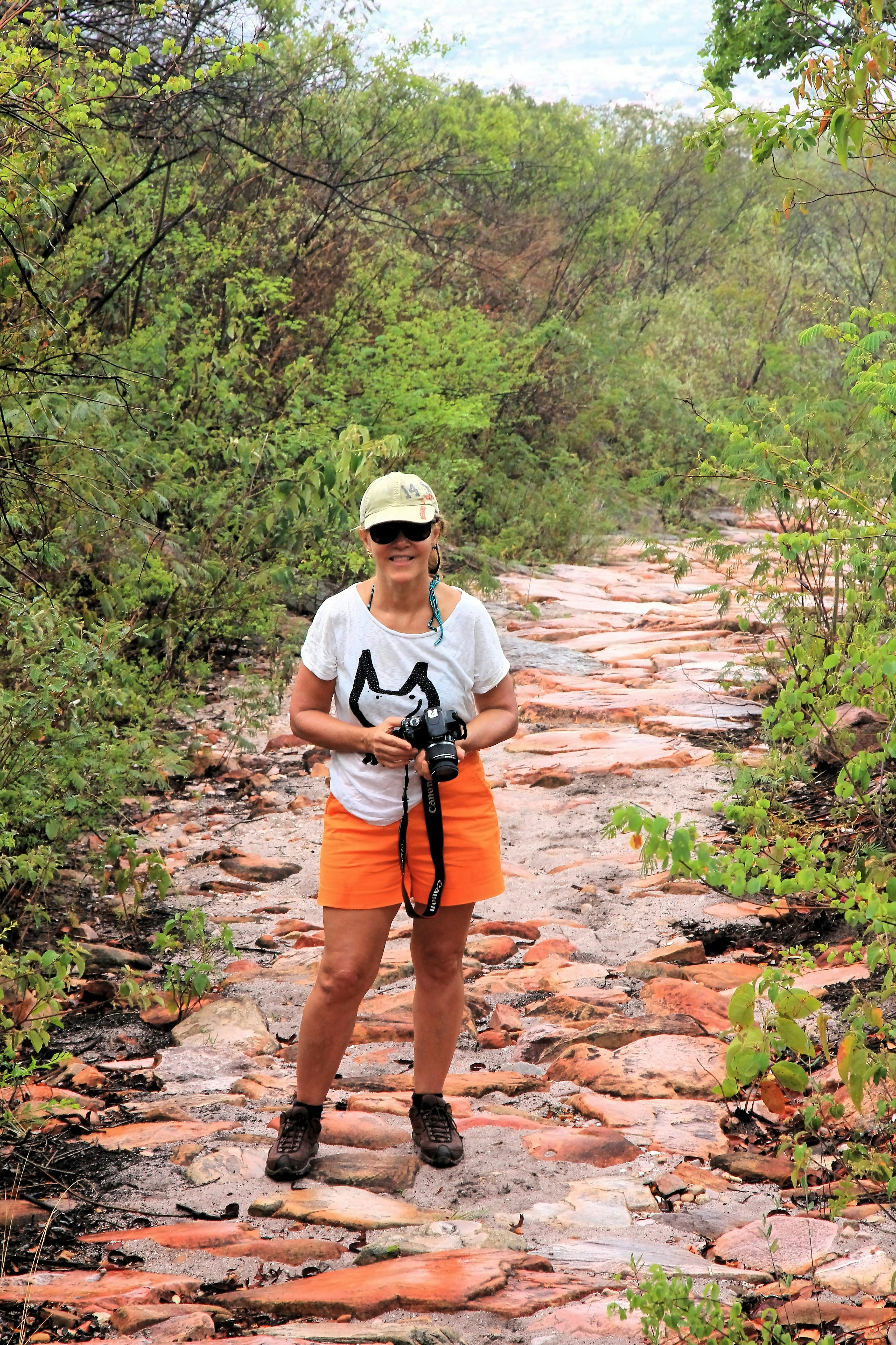A woman standing on a rocky path with a camera photo – Free Forest ...