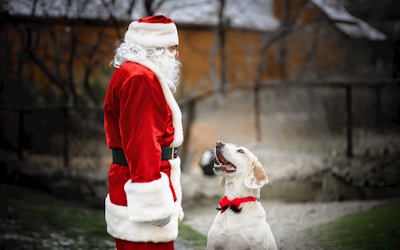 A man in a santa suit standing next to a dog